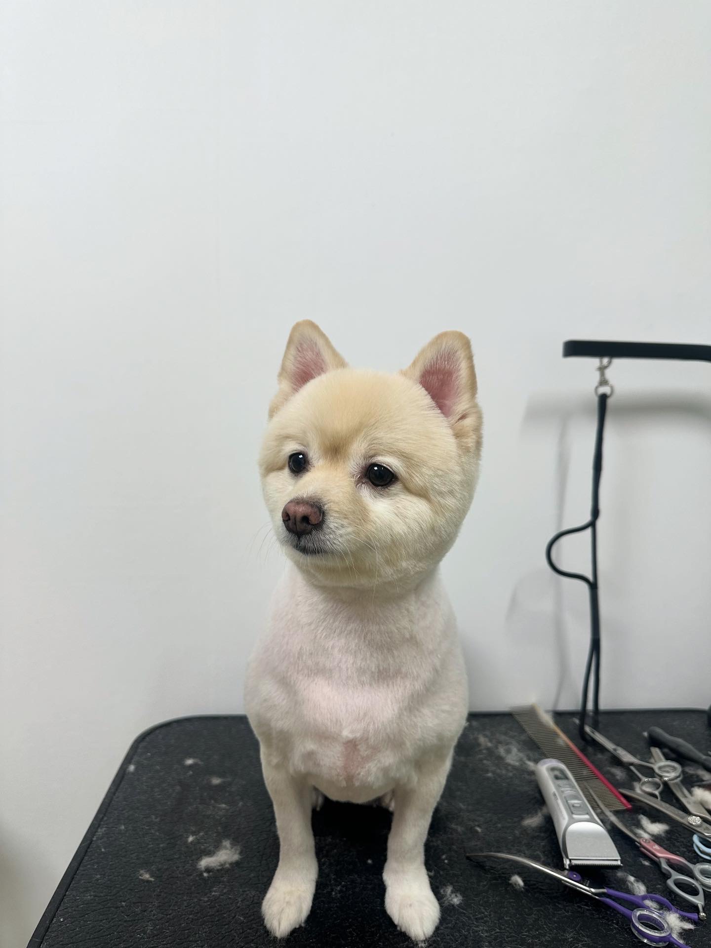멍라살롱 대표 이미지