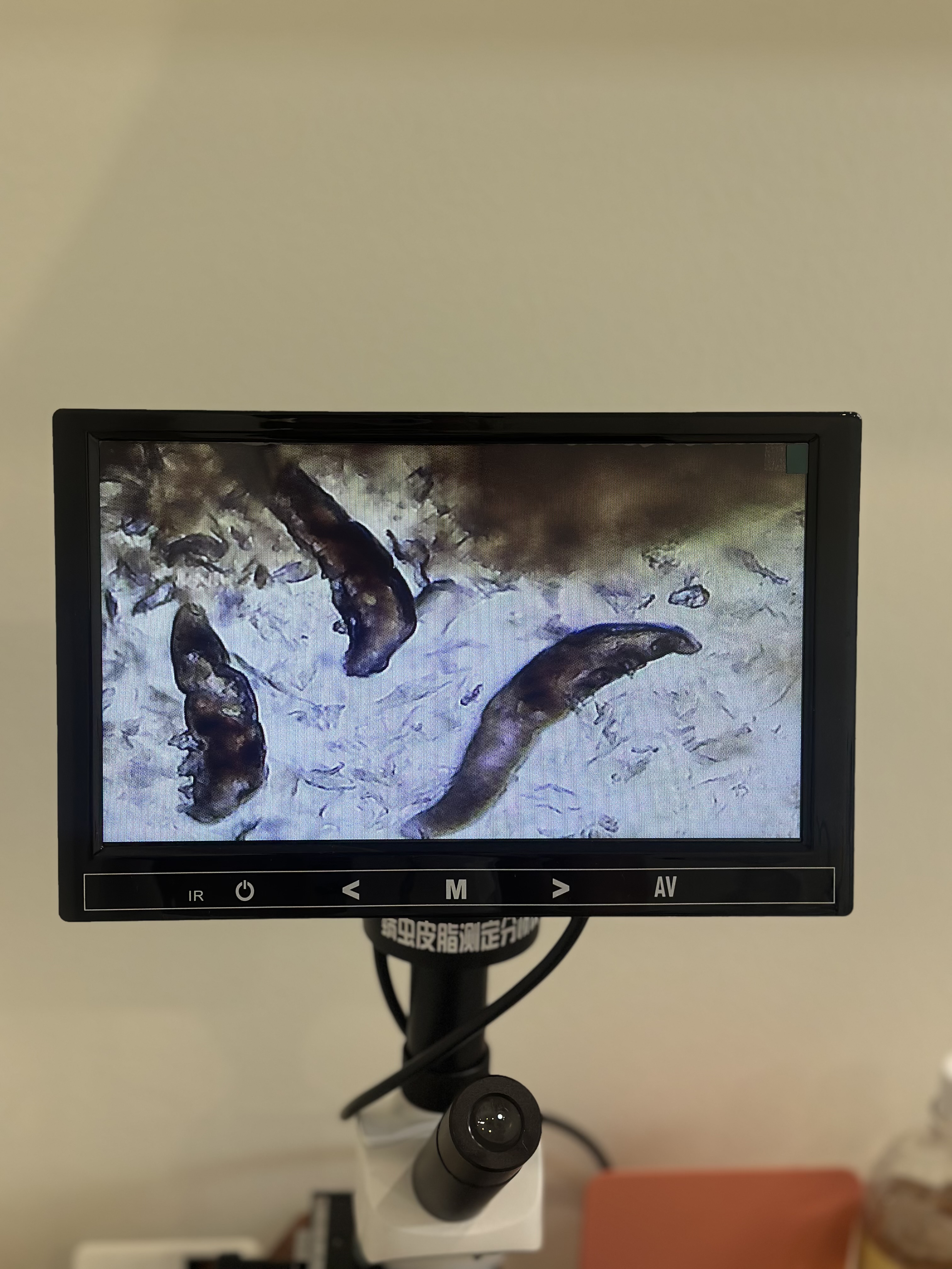 샤인온에스테틱 파주운정점 대표 이미지