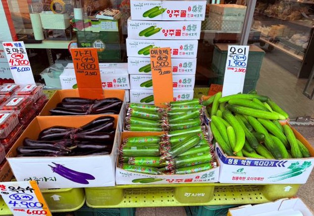 팔도마당