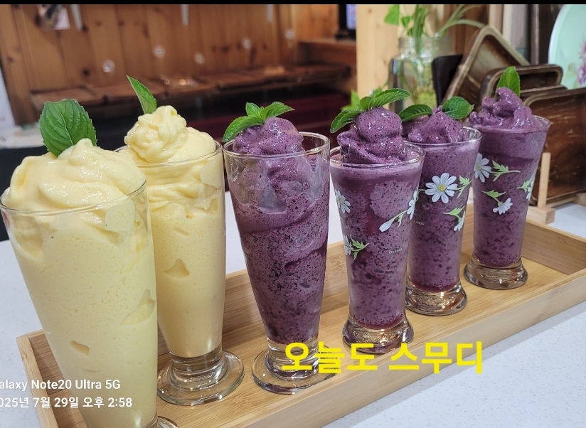 보리떡머슴과 커피마님 반려동물 동반 애견카페