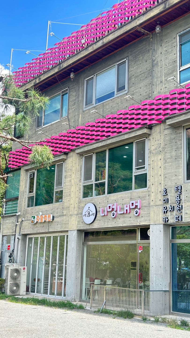 니멍내멍 대표 이미지