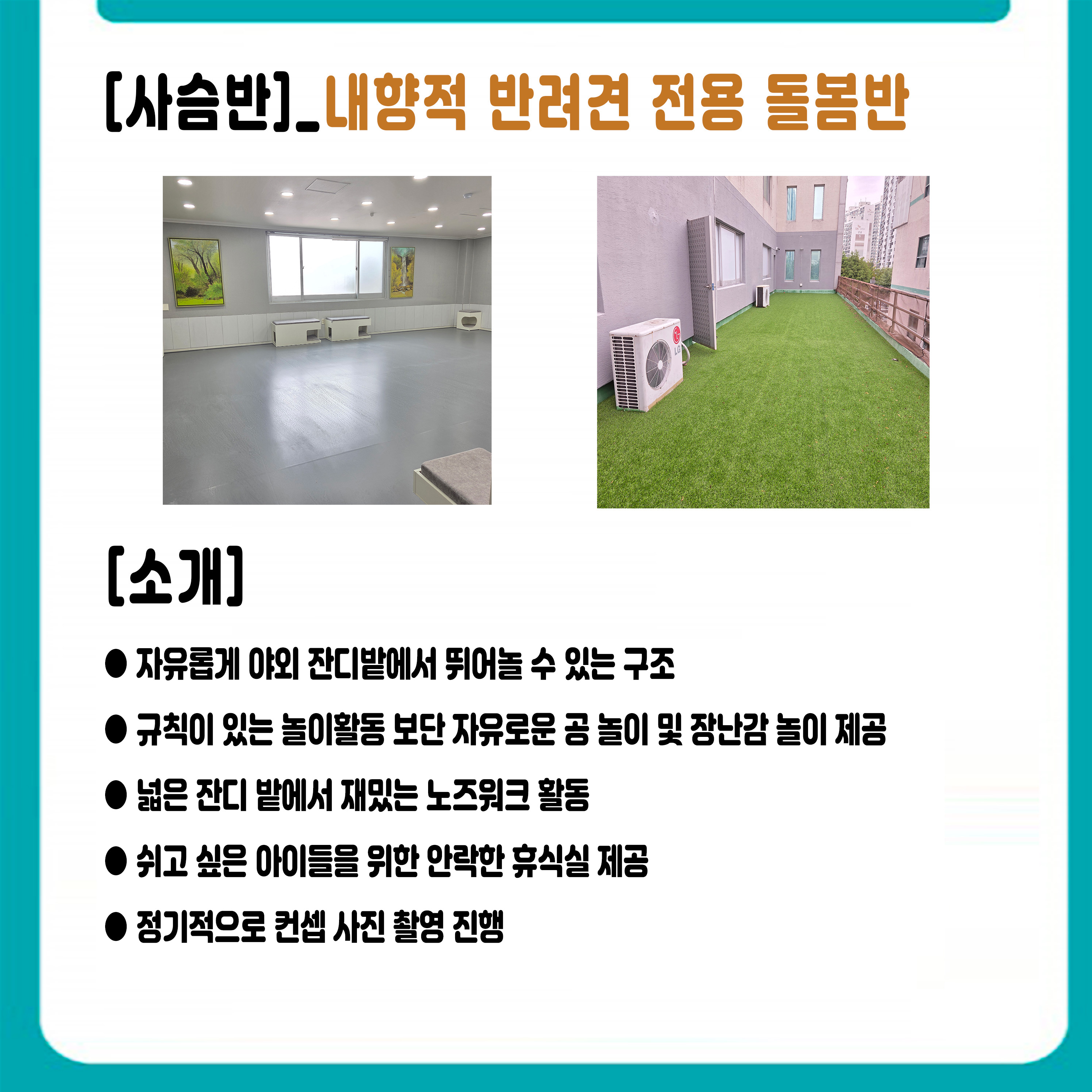 펫케어메이트 대표 이미지