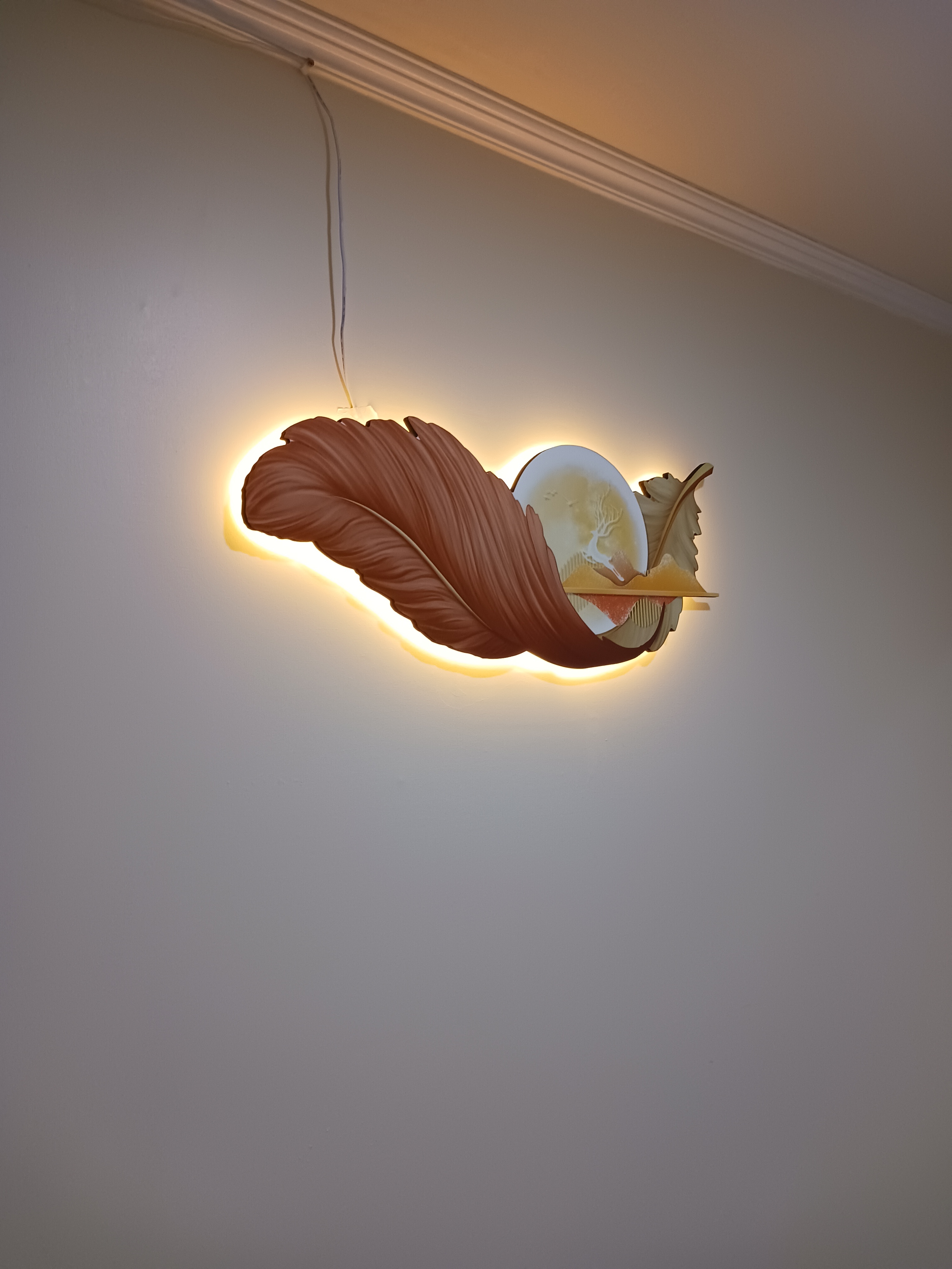 금손 photo 5
