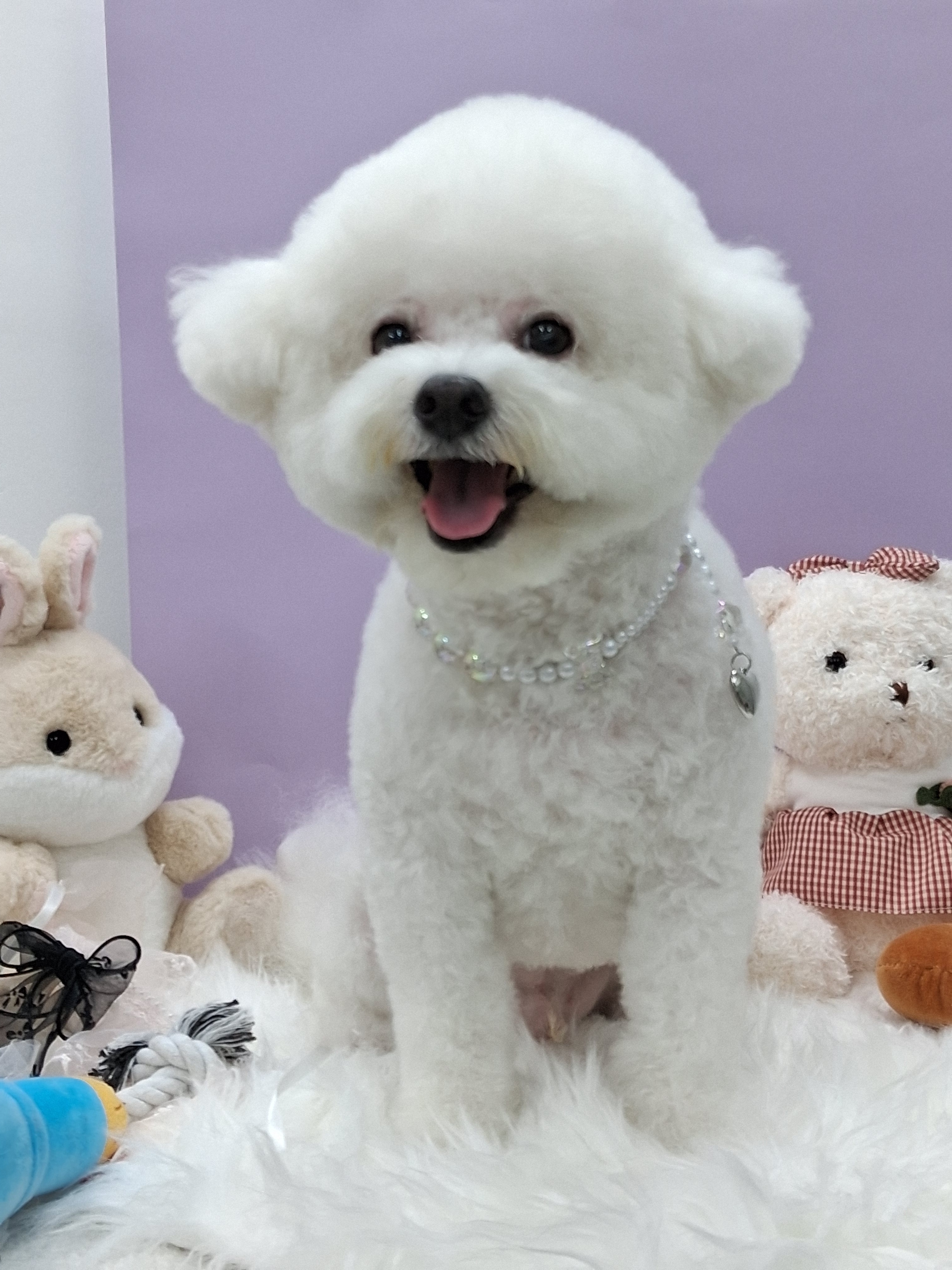 댕구름살롱 대표 이미지