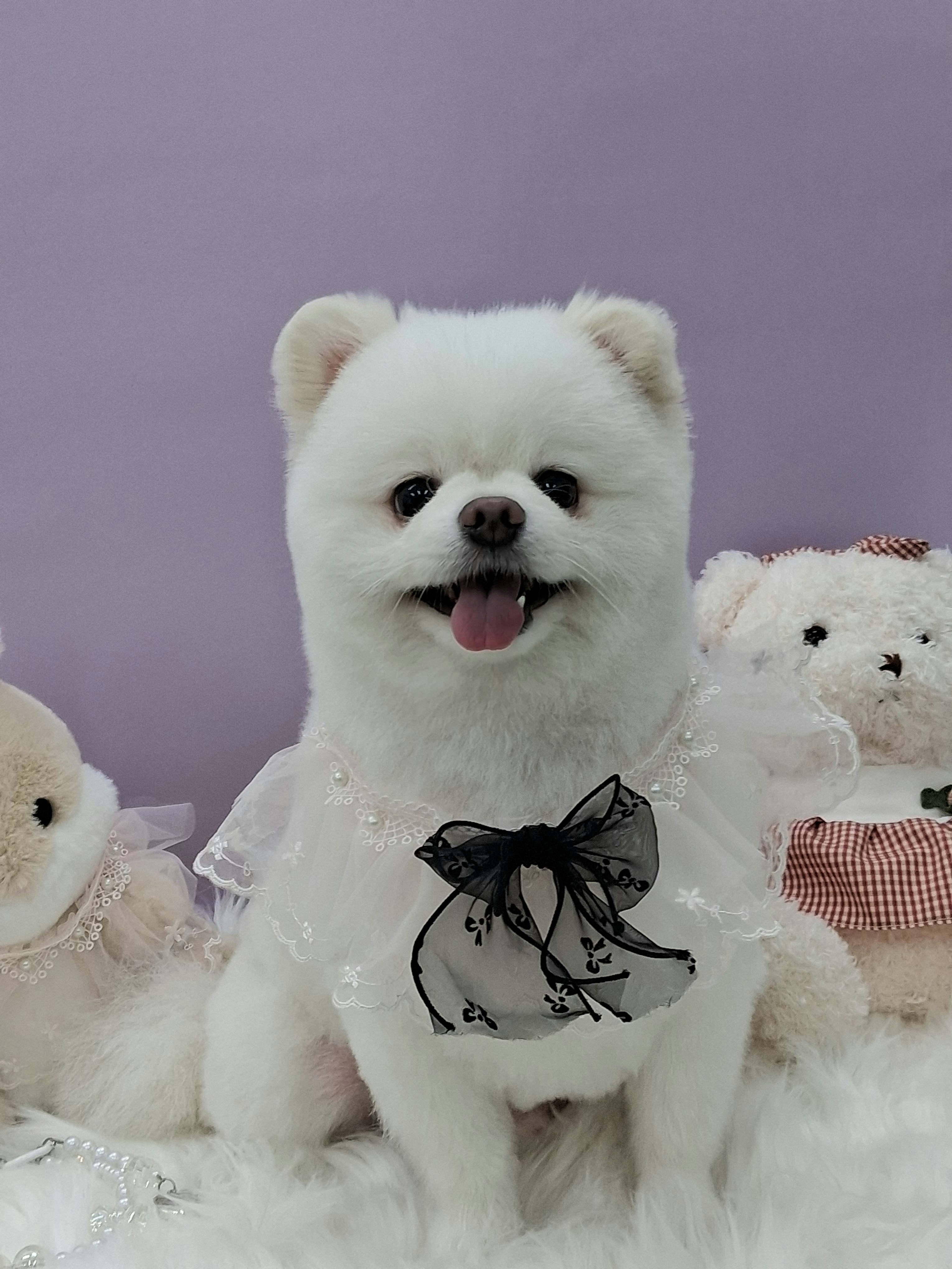 댕구름살롱 대표 이미지