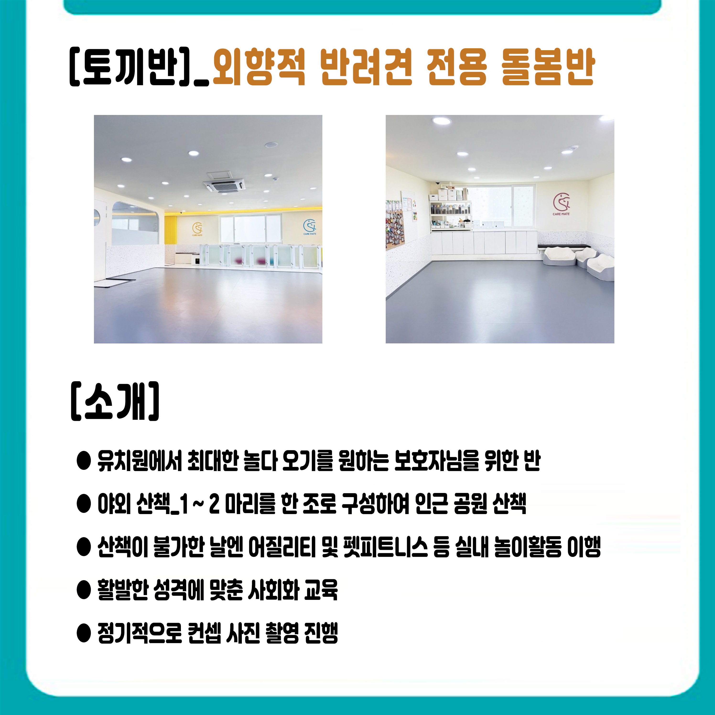 펫케어메이트 대표 이미지