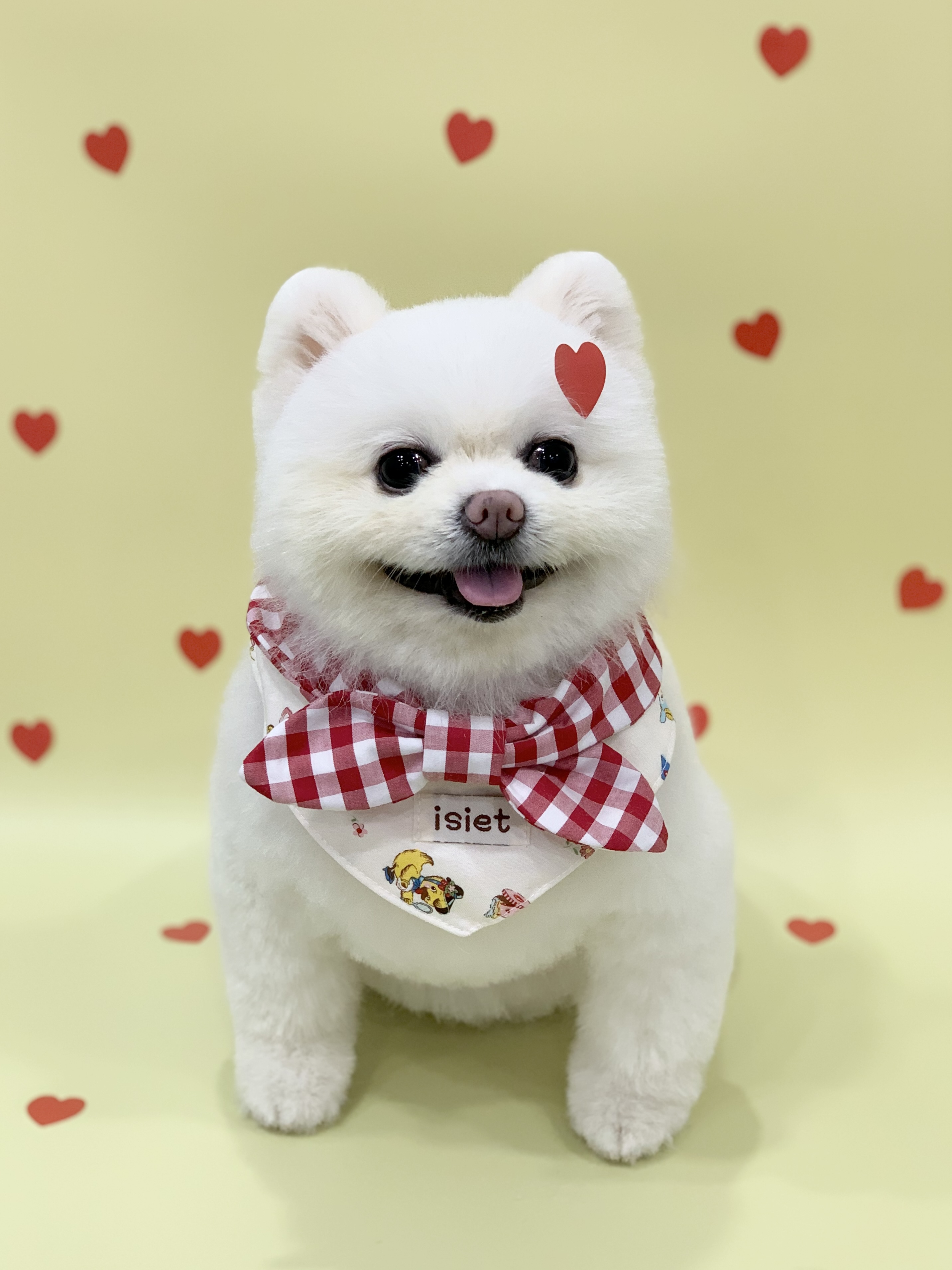 다온그루밍 대표 이미지