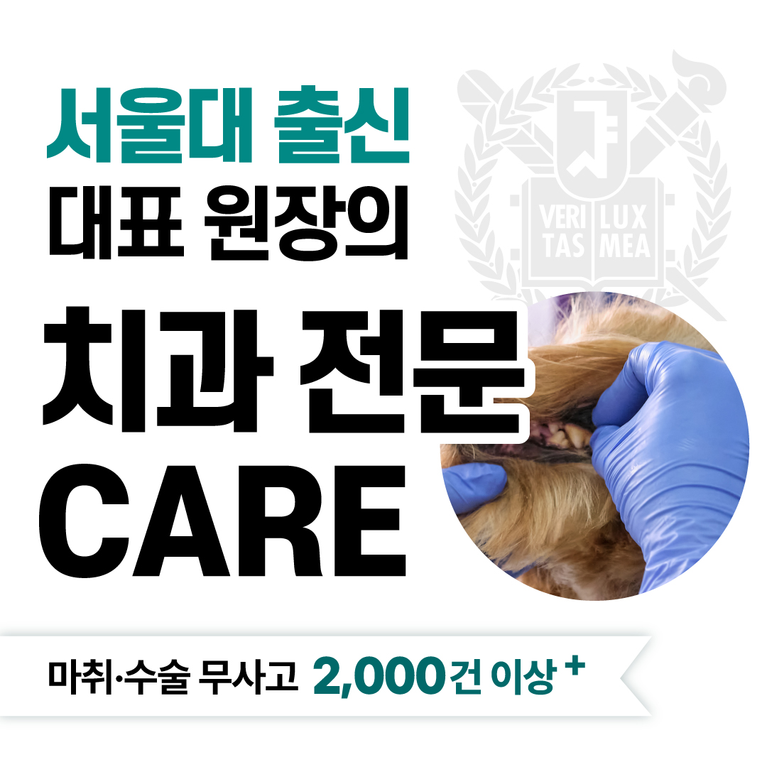 힐링동물병원 대표 이미지