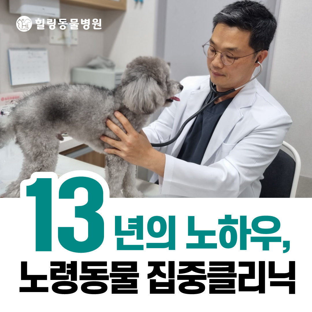 힐링동물병원 & 건강검진센터 대표 이미지