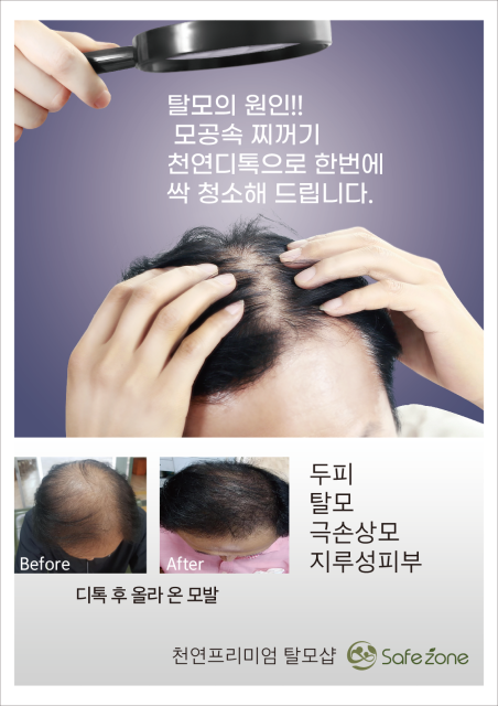 제주숲