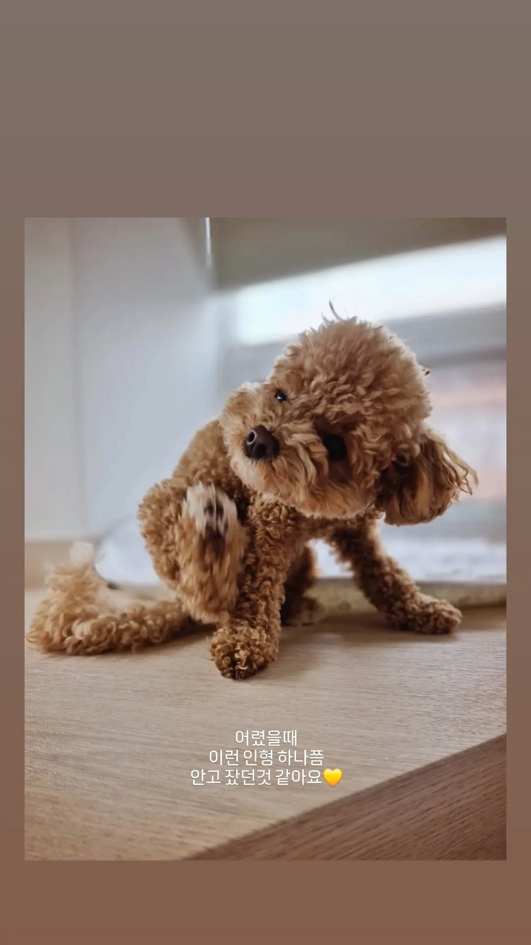 꼬모댕프라이빗애견호텔 대표 이미지