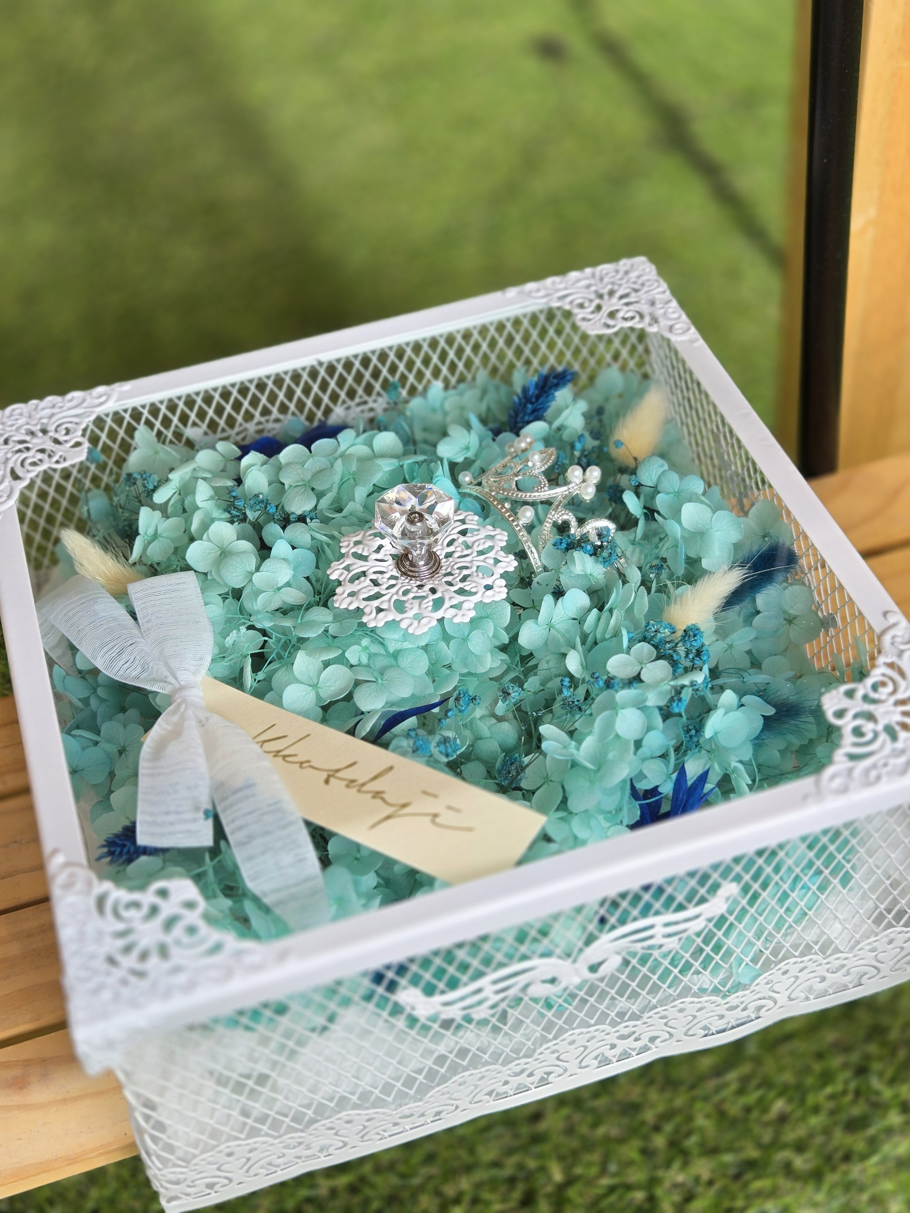 꽃다지 대표 이미지