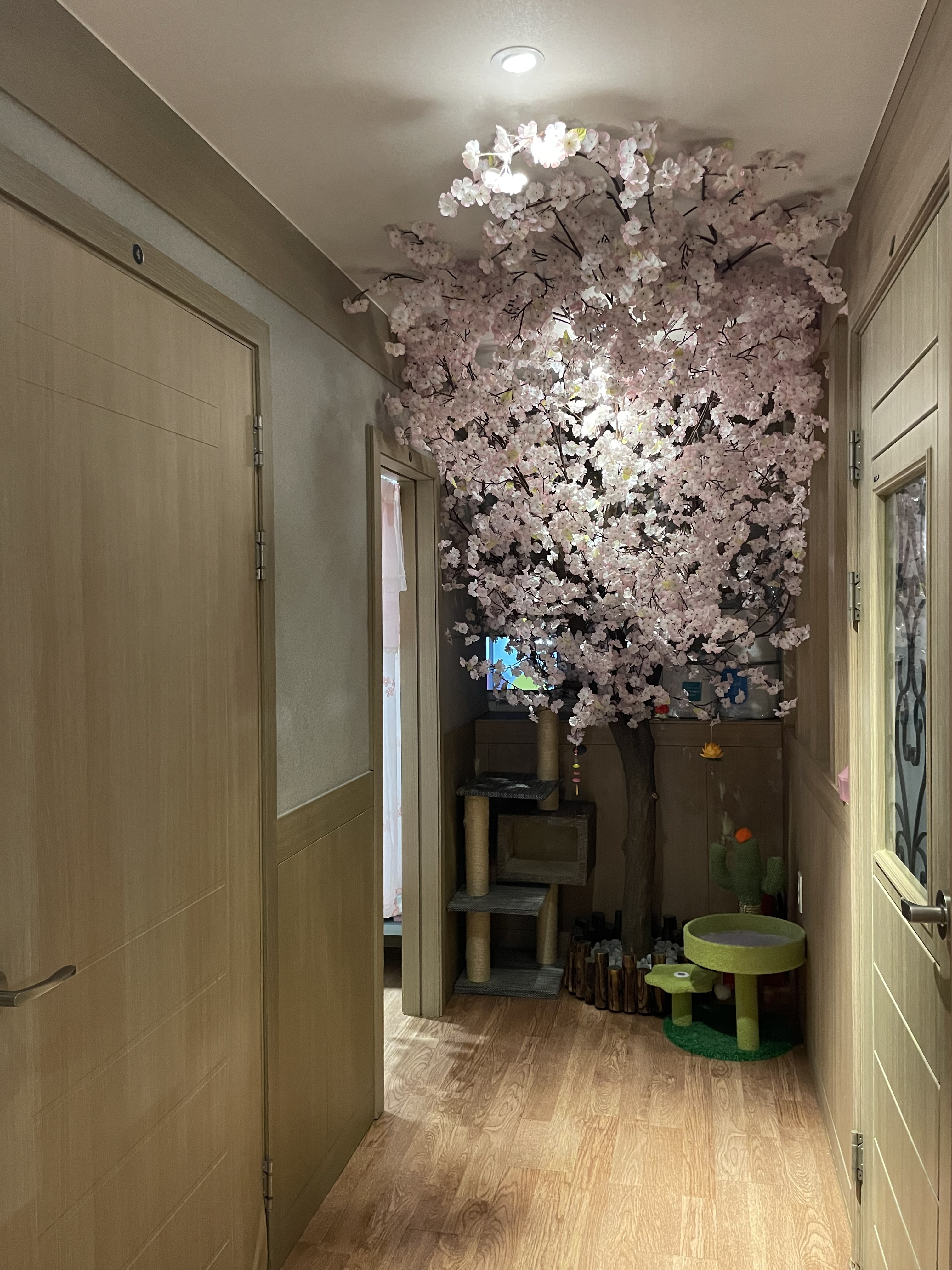 명품테라피 photo 5