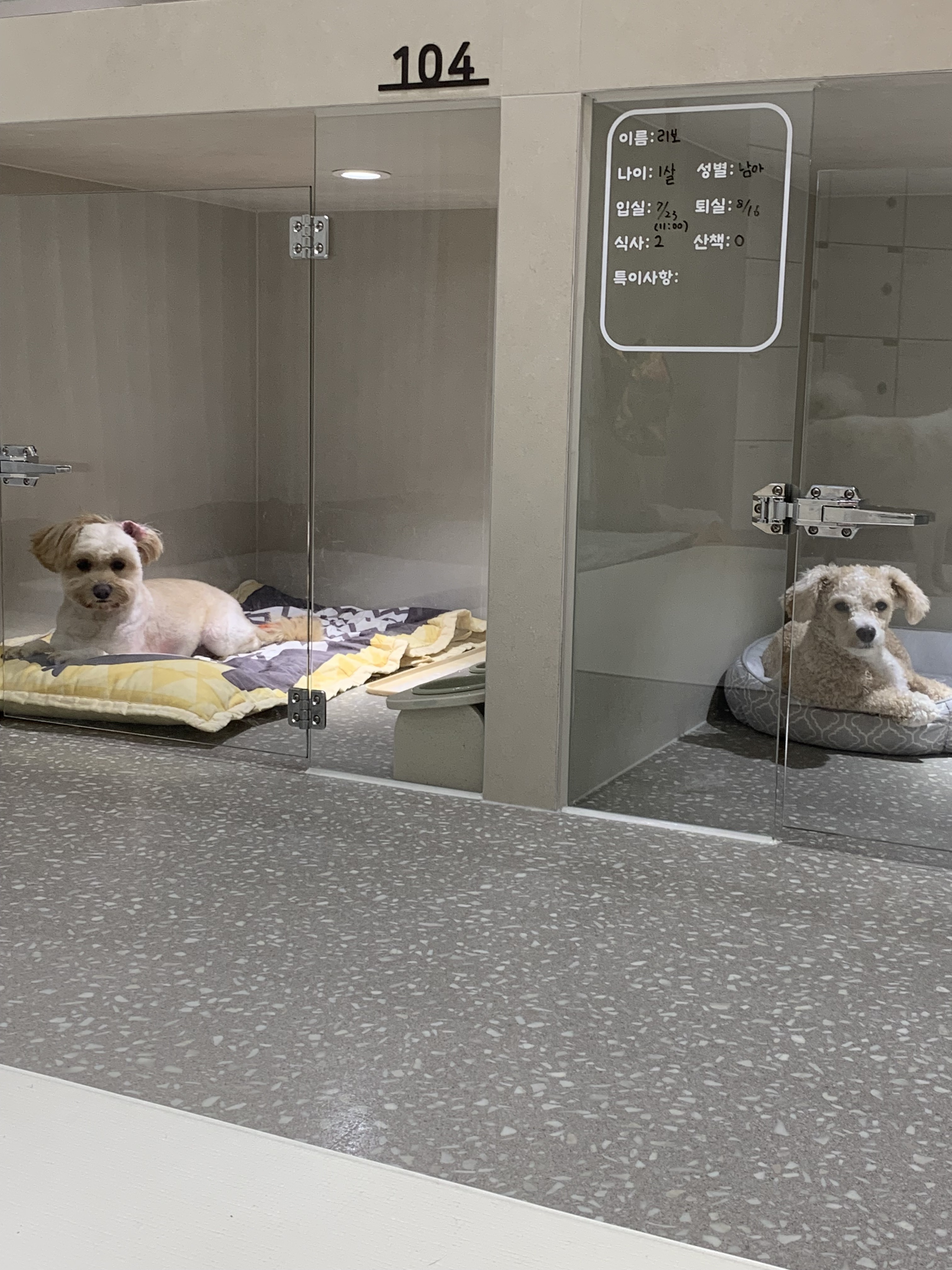 러버독&도그팰리스 애견호텔 대표 이미지