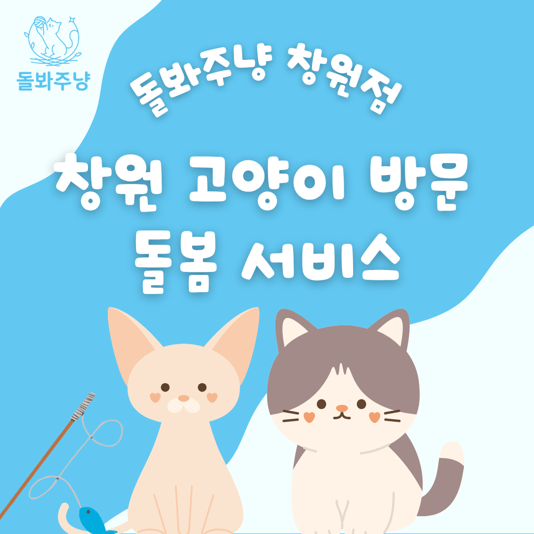 돌봐주냥 창원점 대표 이미지