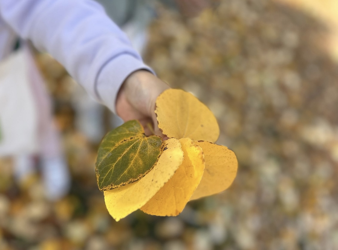 트위그앤기글 대표 이미지
