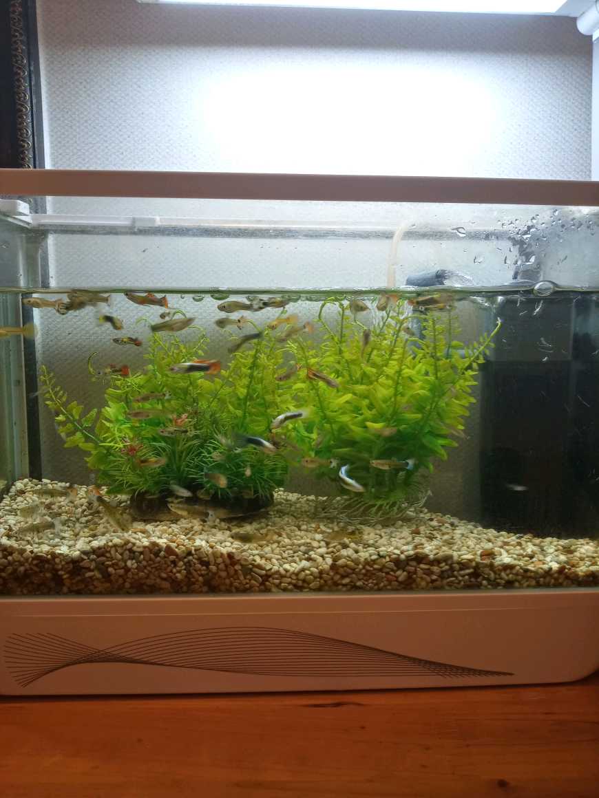 왕부중국정통마사지 photo 2
