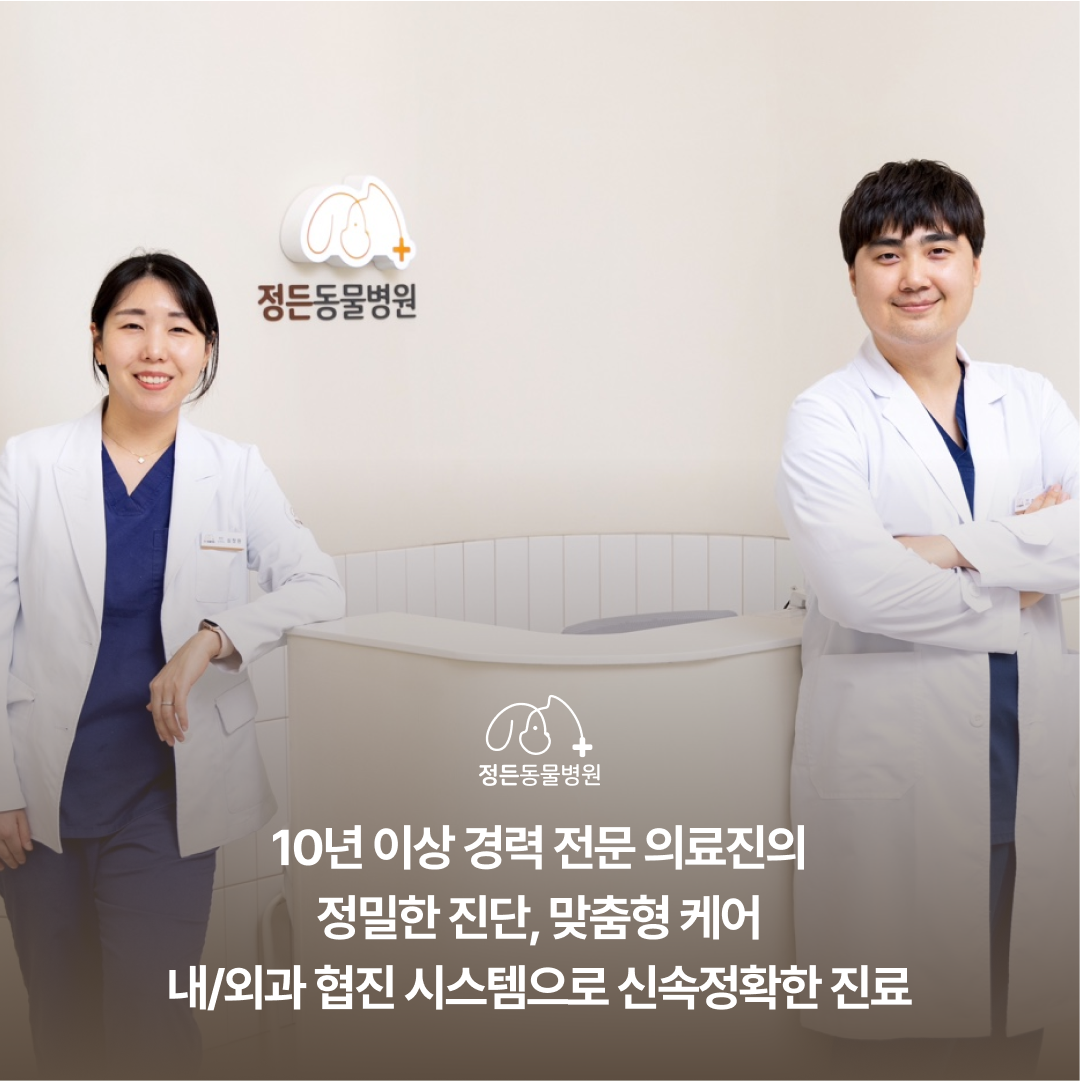 정든동물병원 대표 이미지