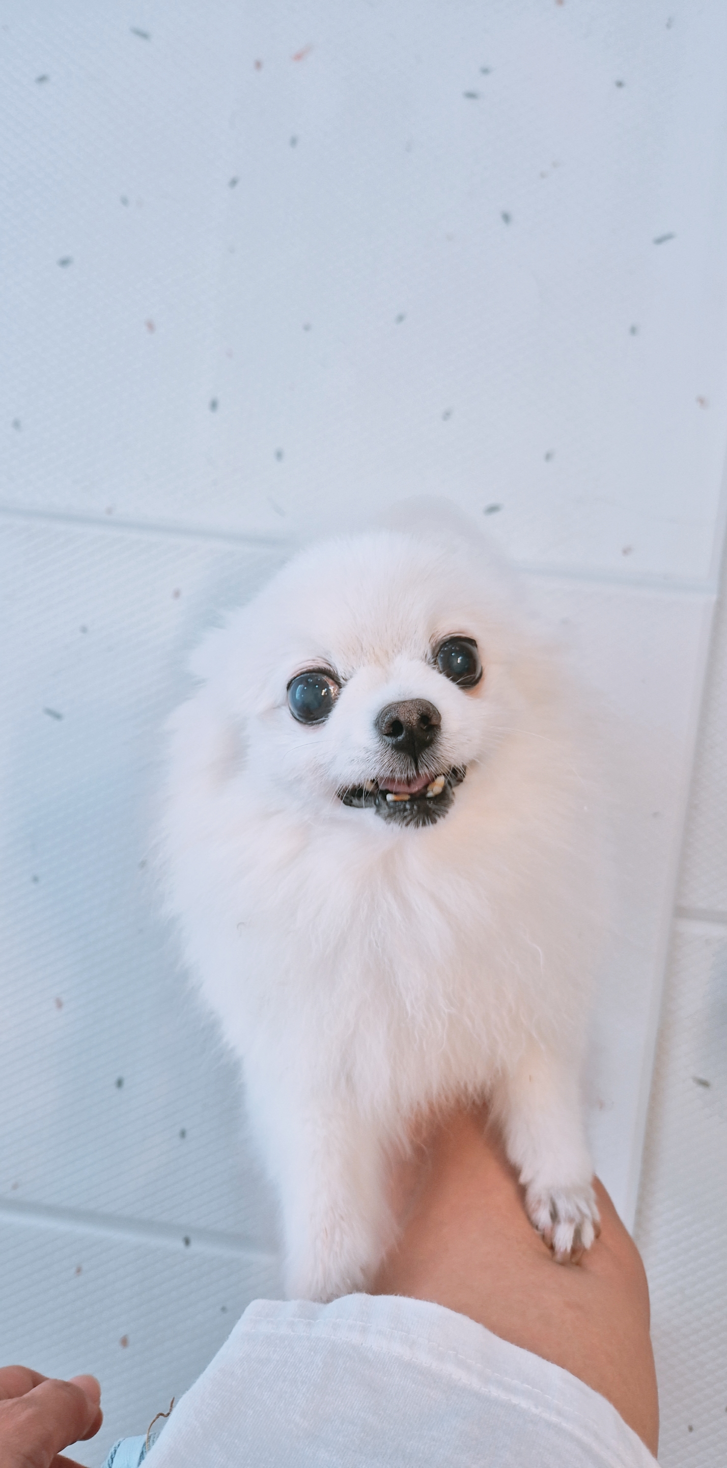 놀러오개 대표 이미지