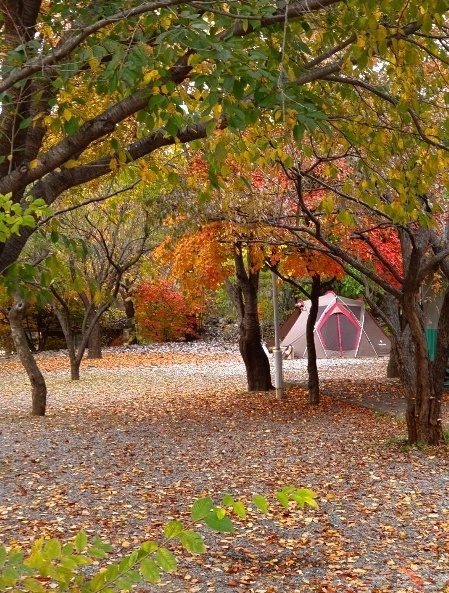 캠핑장 사진