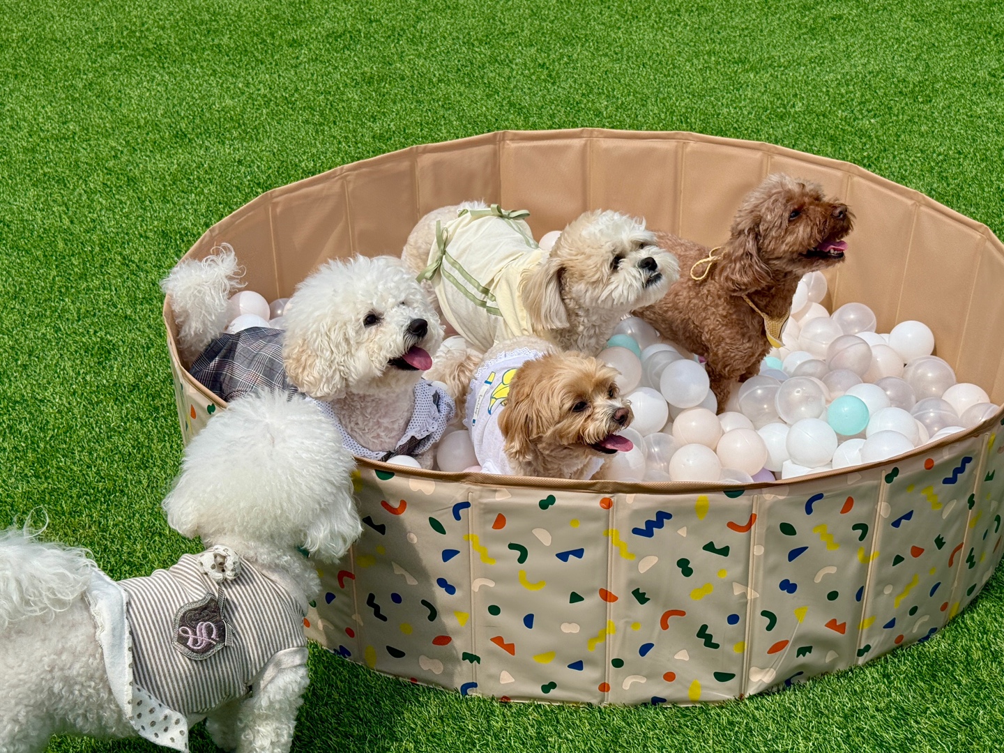 하이뭉치유치원 이미지