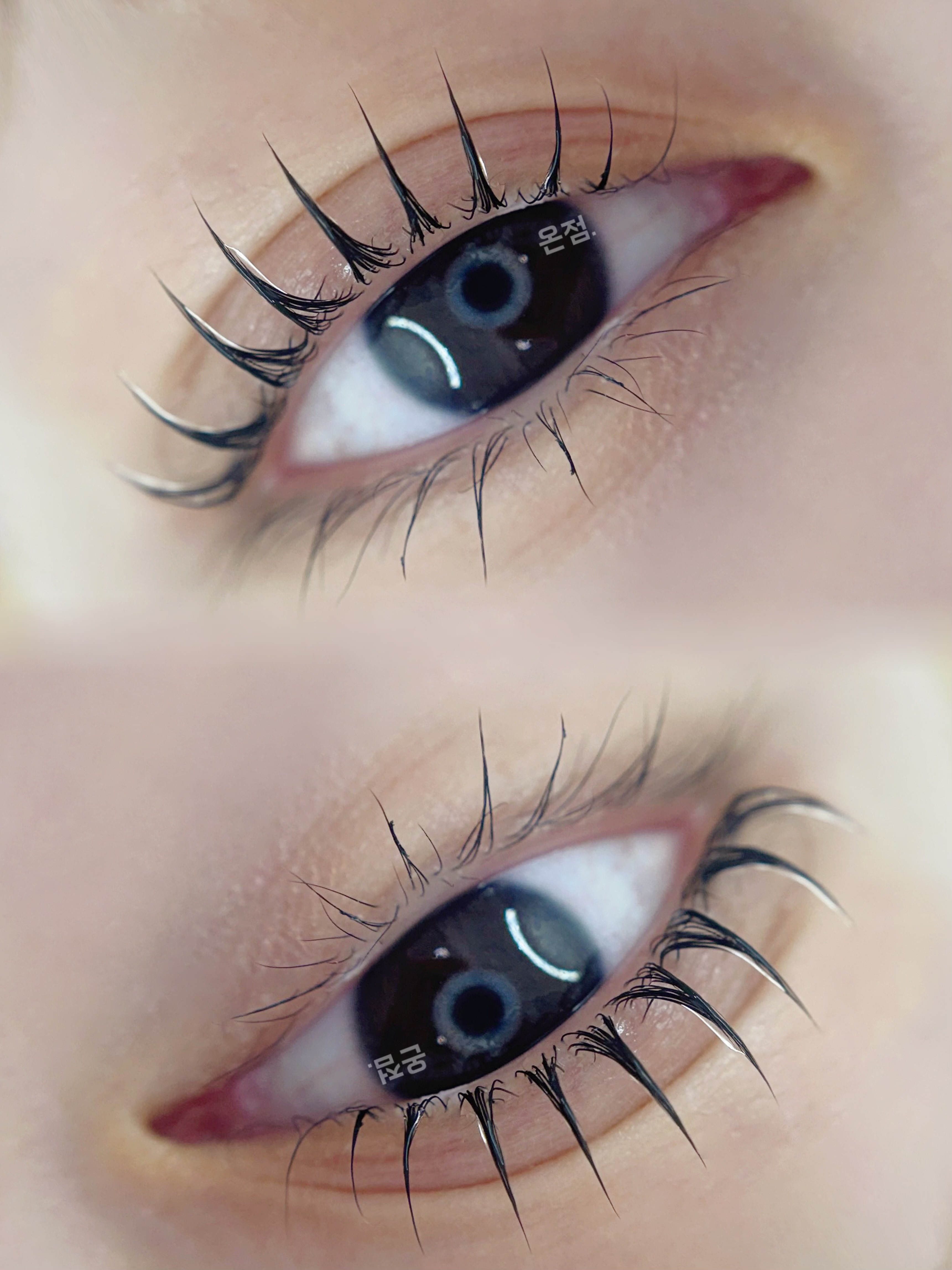 온점 대표 이미지