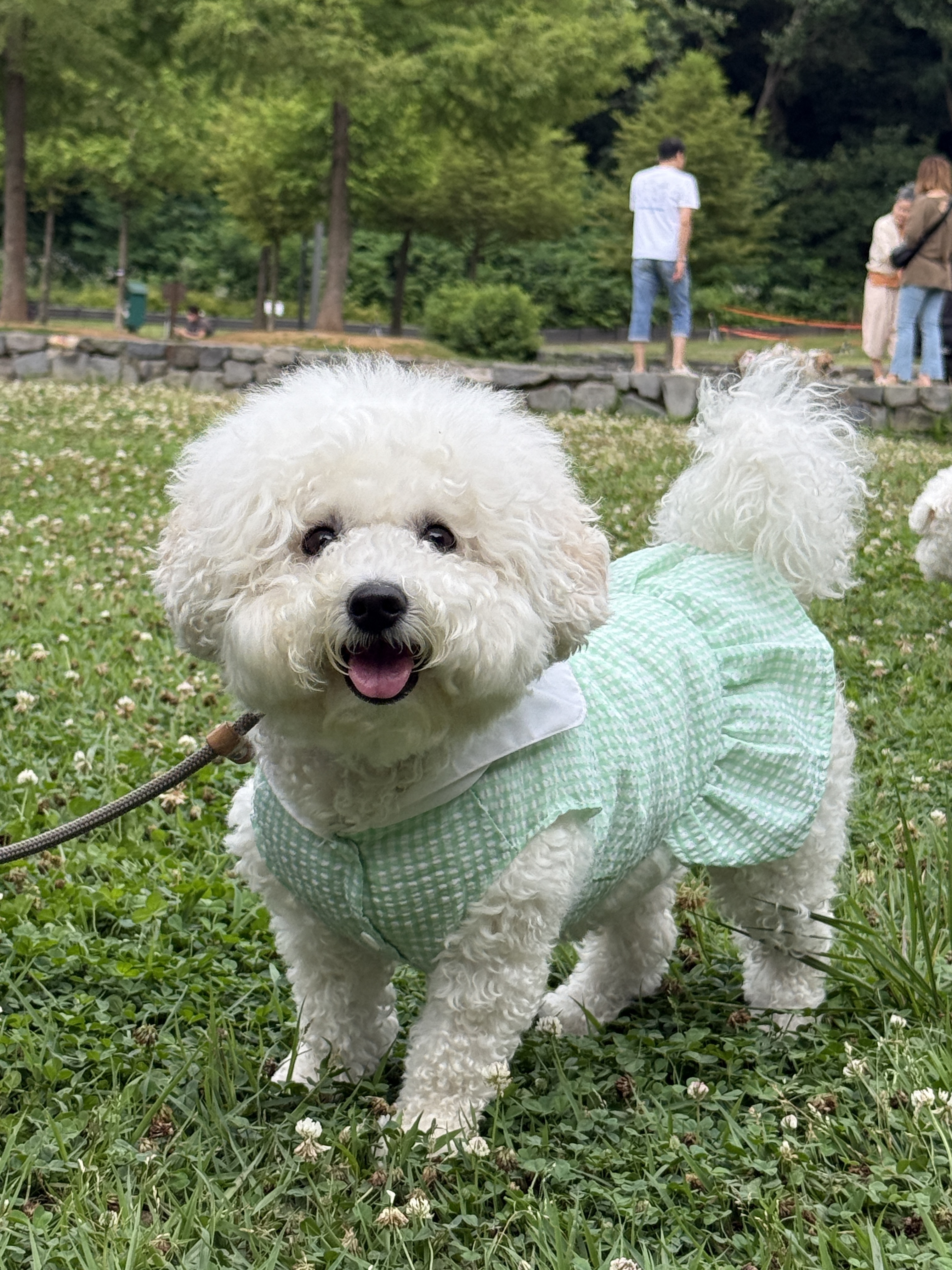 하이뭉치유치원 대표 이미지