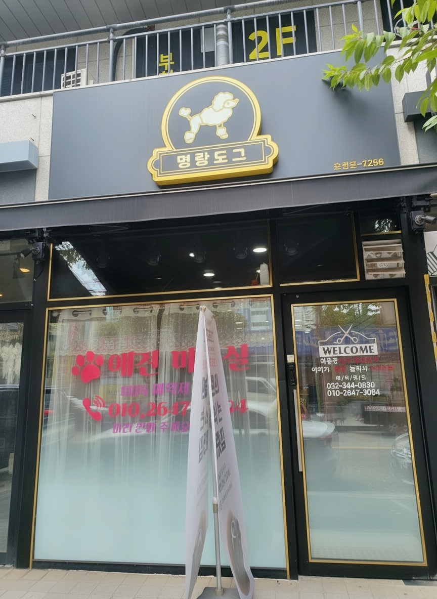 명랑도그 대표 이미지
