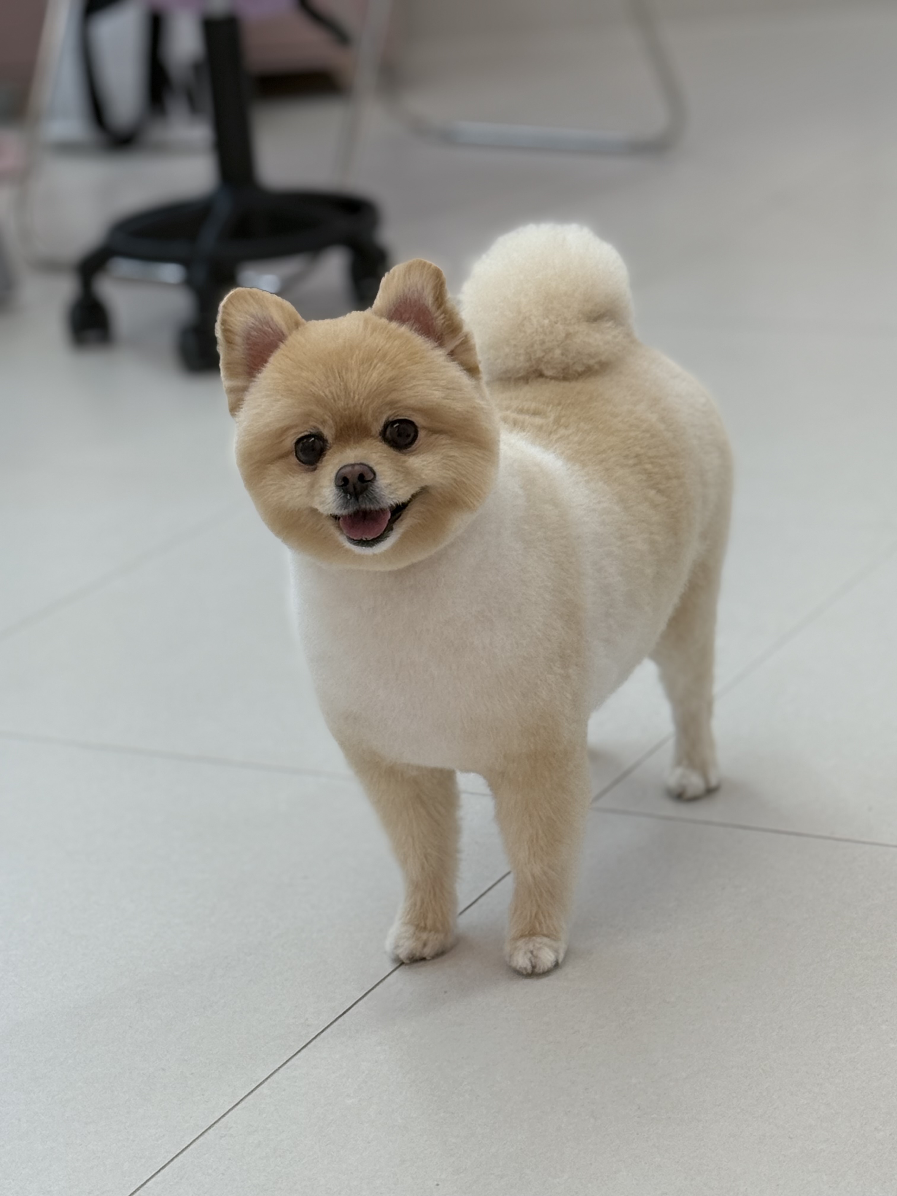 버블리 대표 이미지
