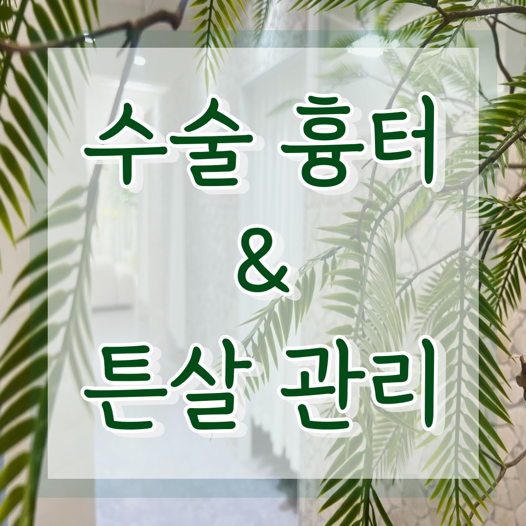 비비스카랩 대표 이미지