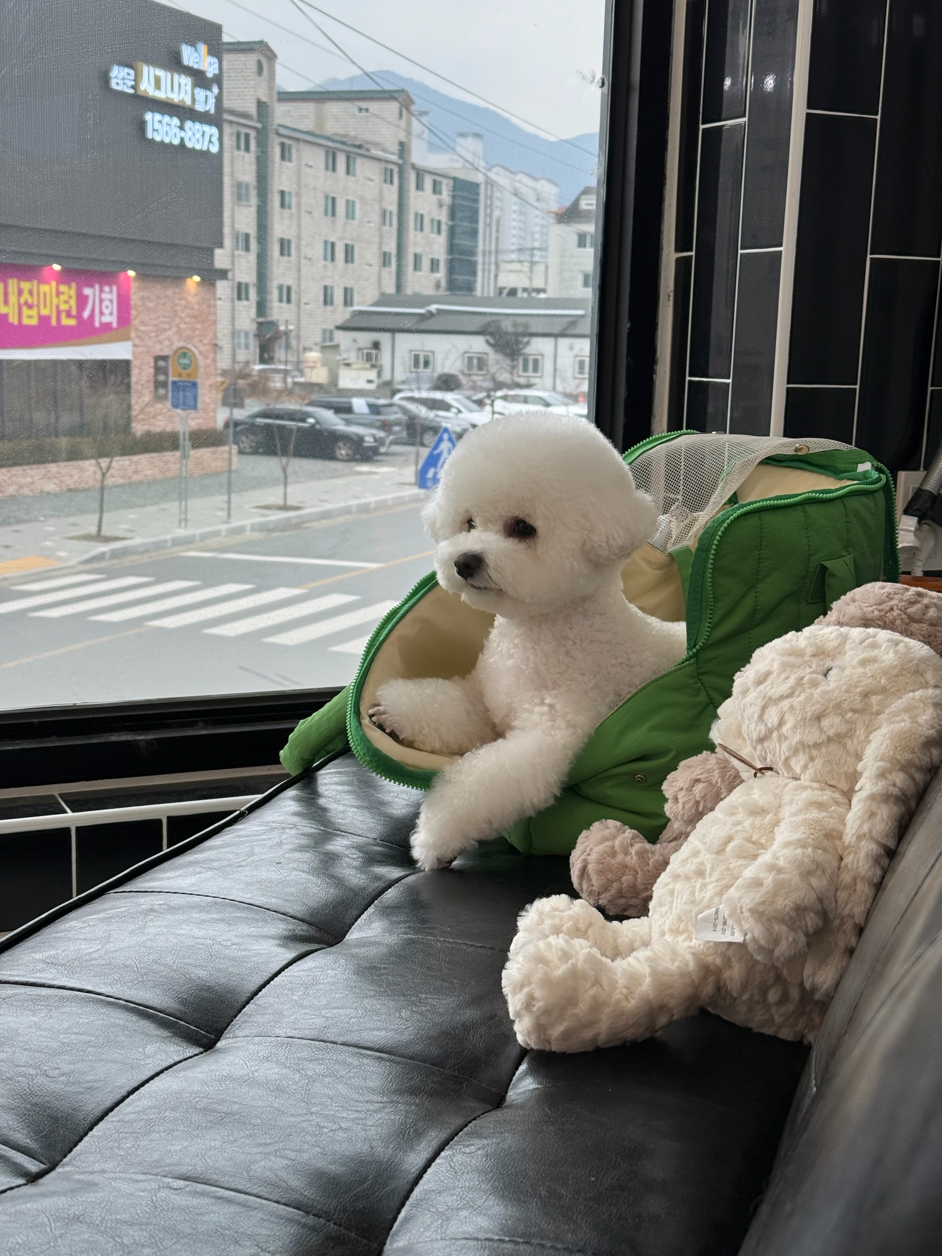 뽀솜뽀솜 대표 이미지