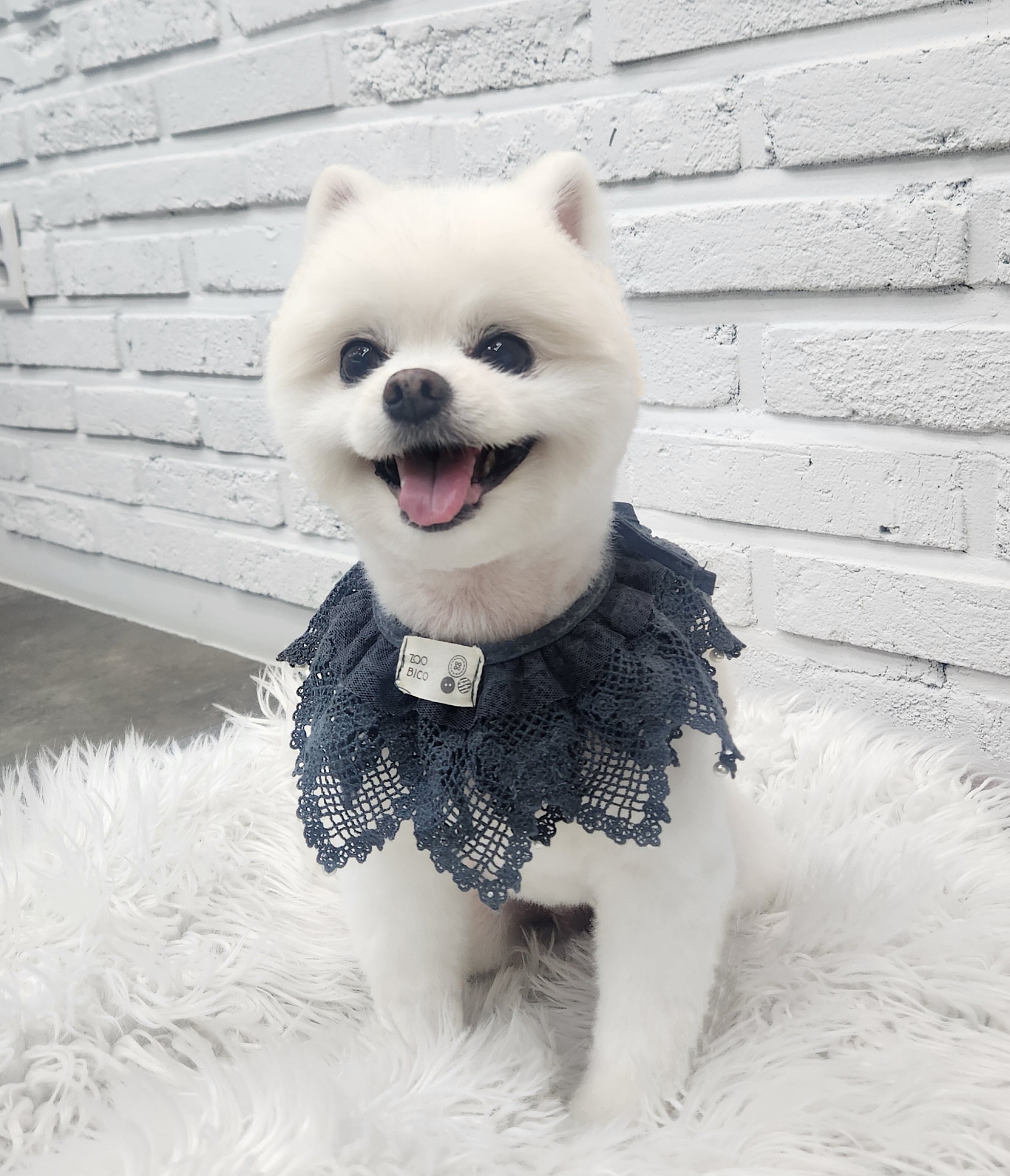 우리몽 대표 이미지