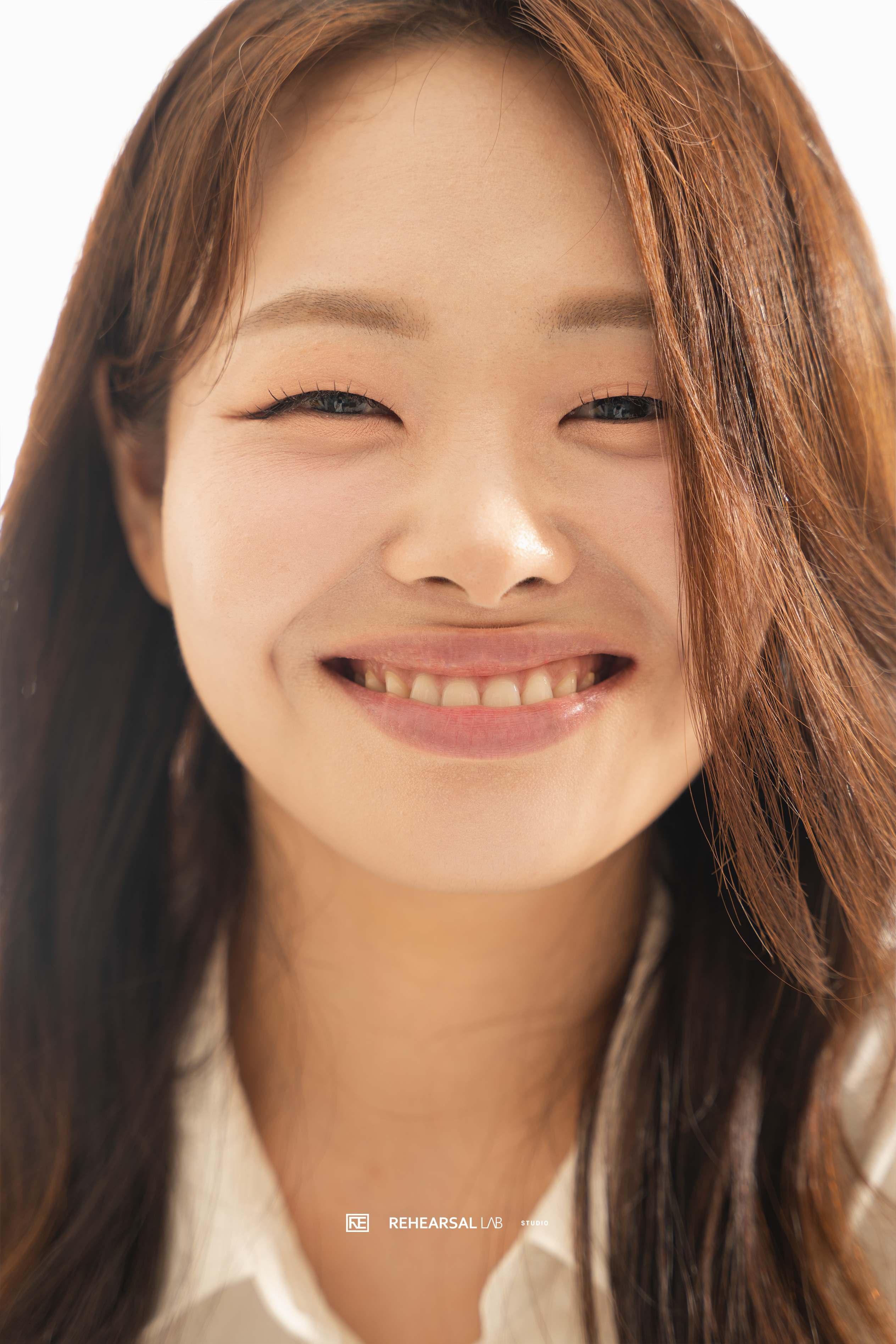 도그시티 2