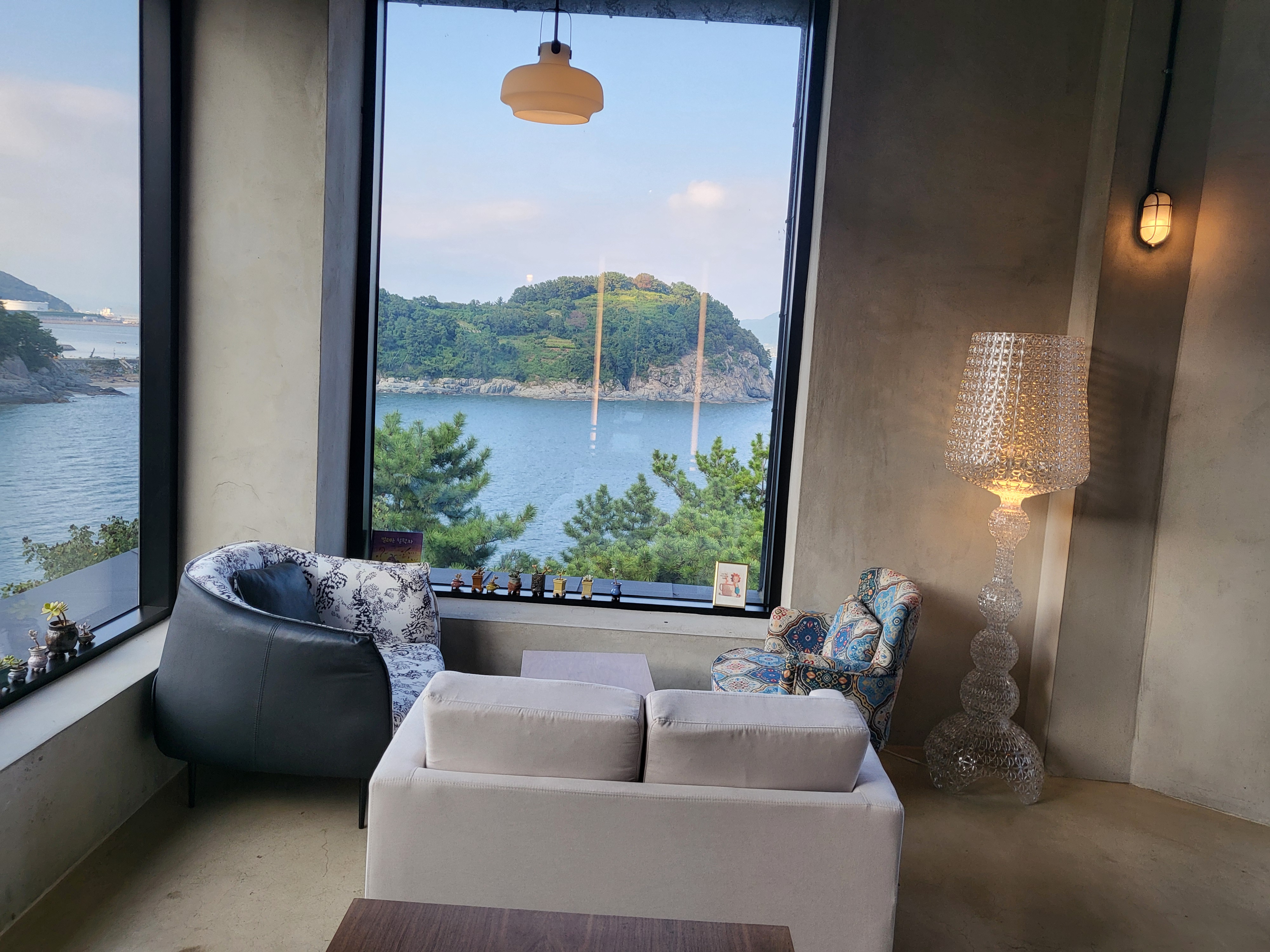 카페너머 반려동물 동반 애견카페