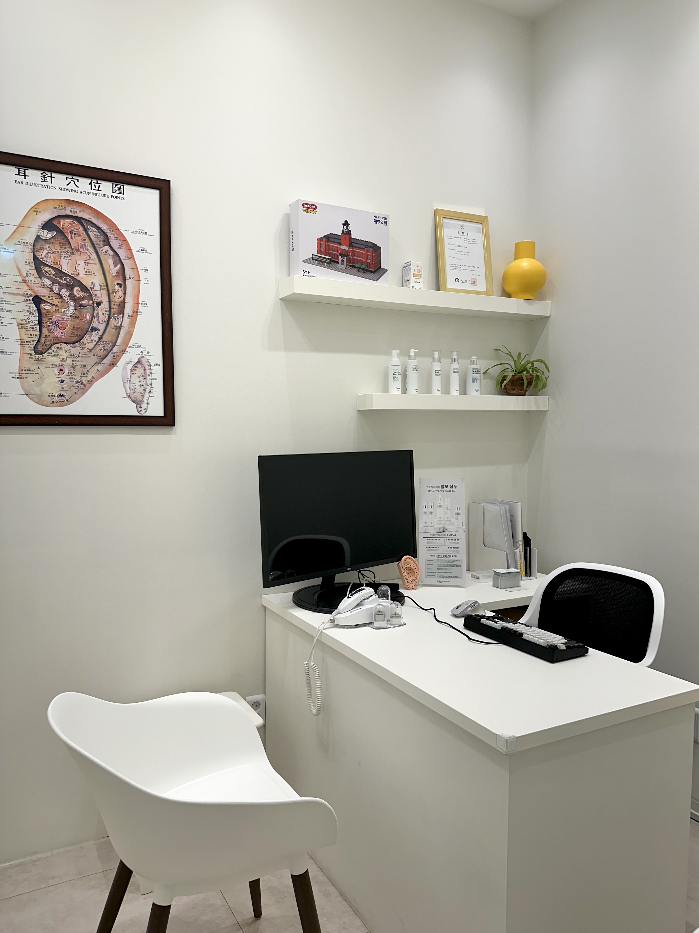 셀비오 위례점 대표 이미지