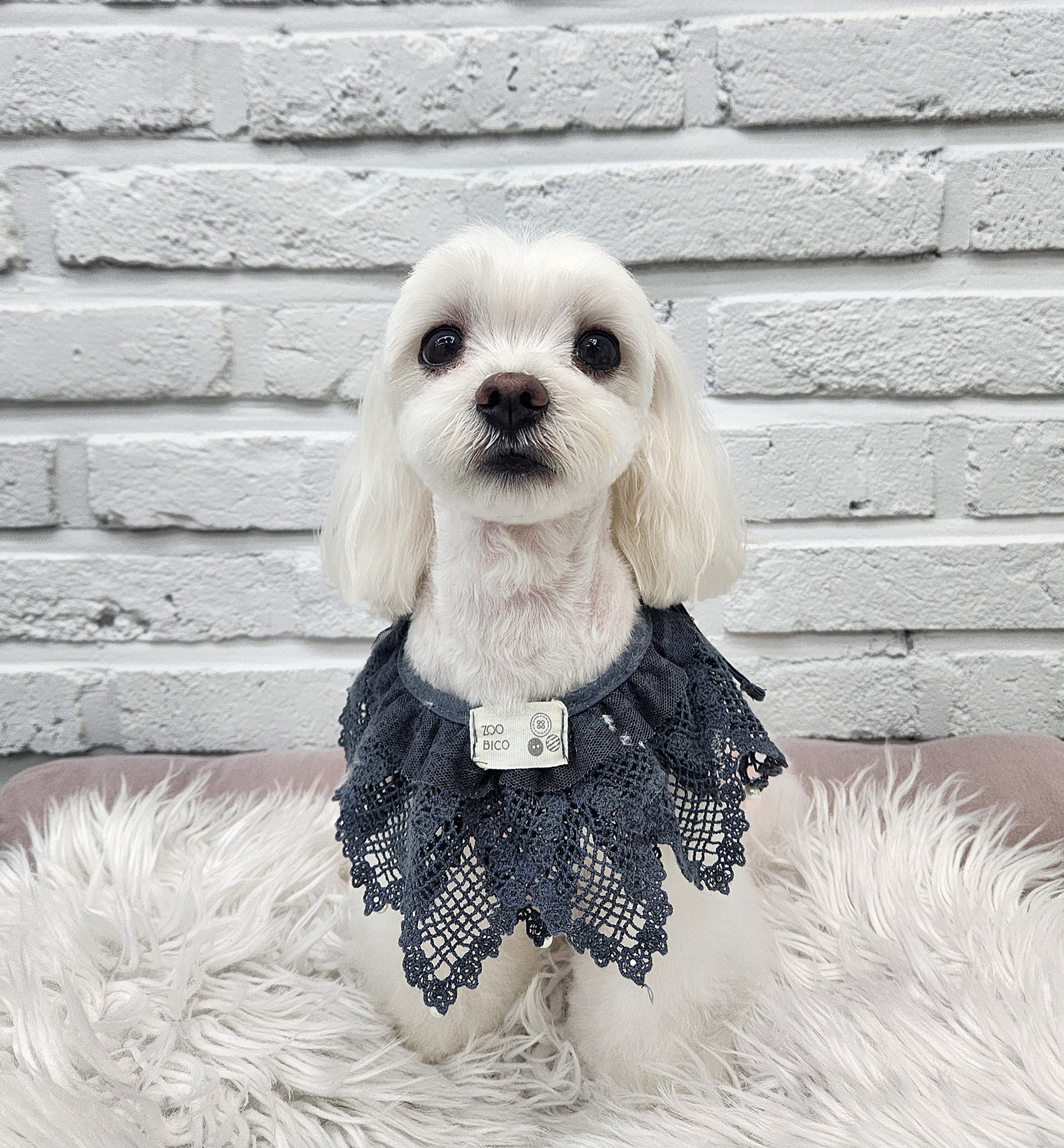 우리몽 대표 이미지