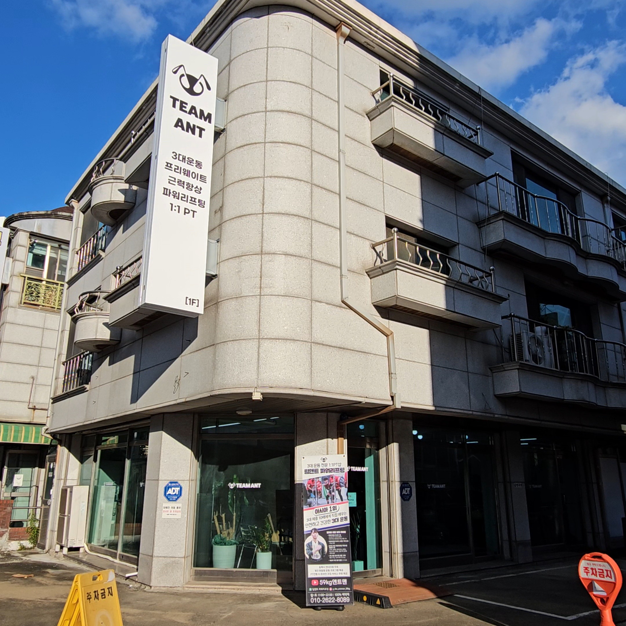팀앤트 파워리프팅 대표 이미지