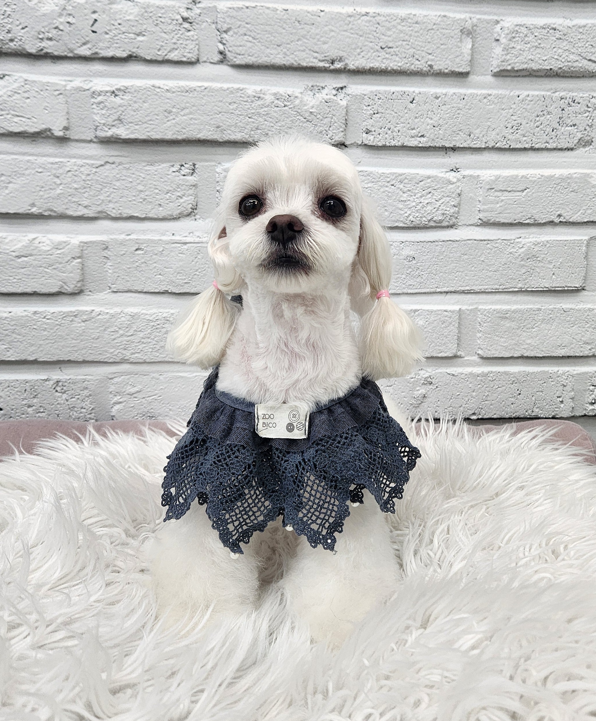 우리몽 대표 이미지