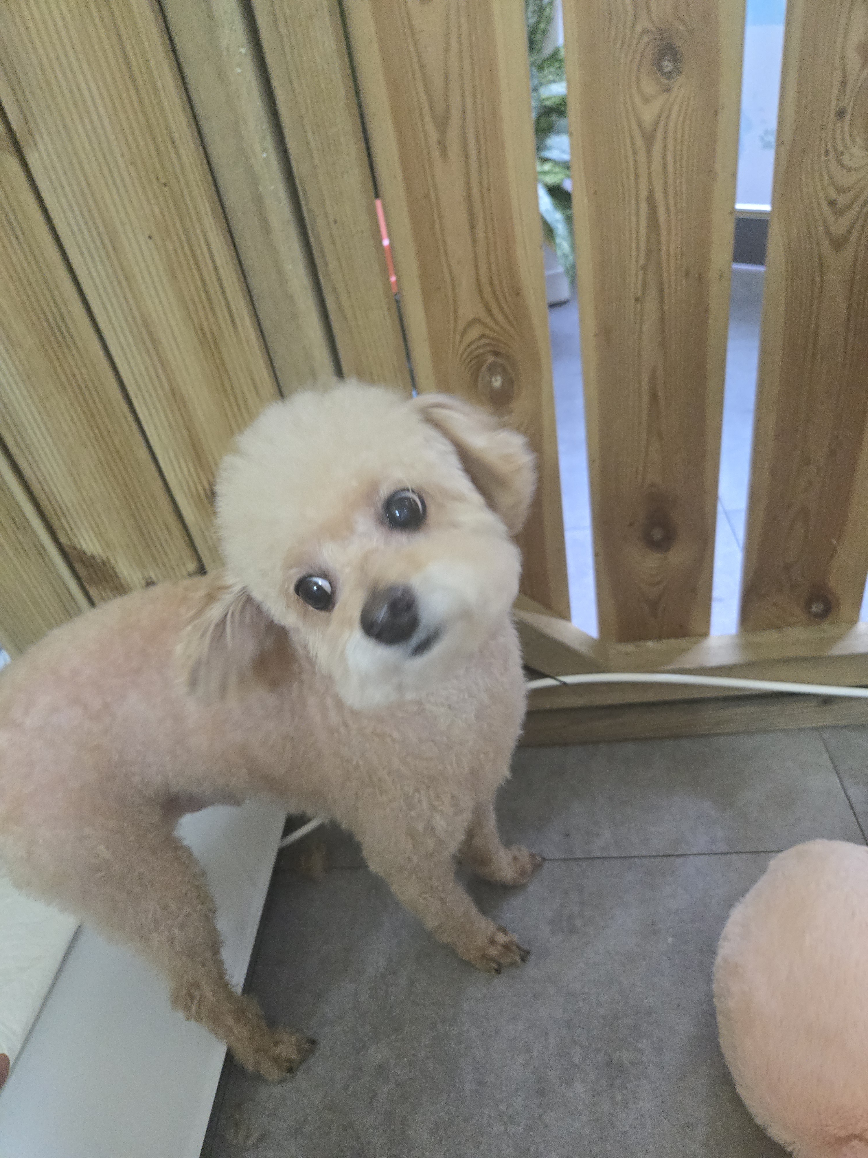 사랑할개 대표 이미지