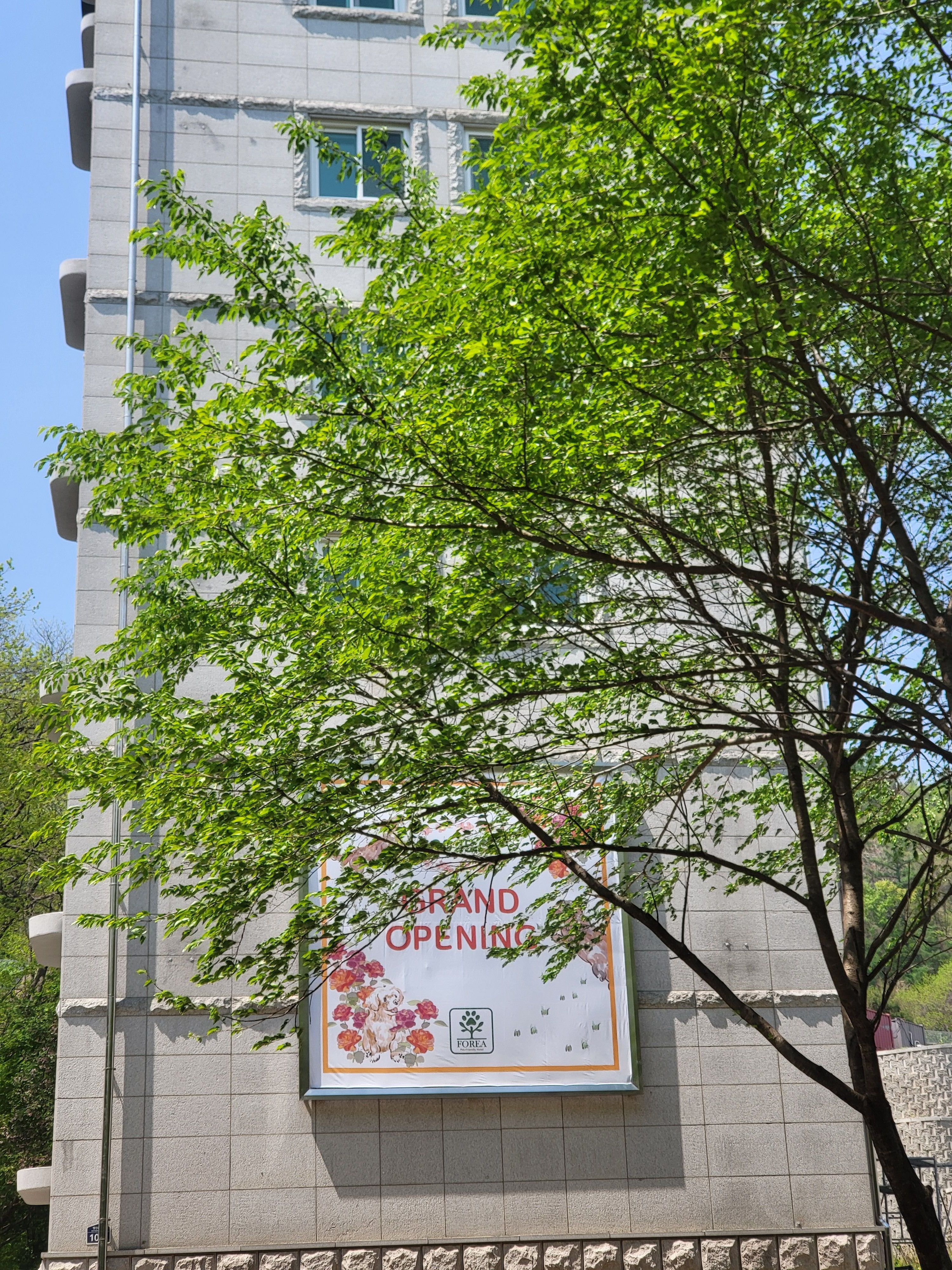 포레아 대표 이미지