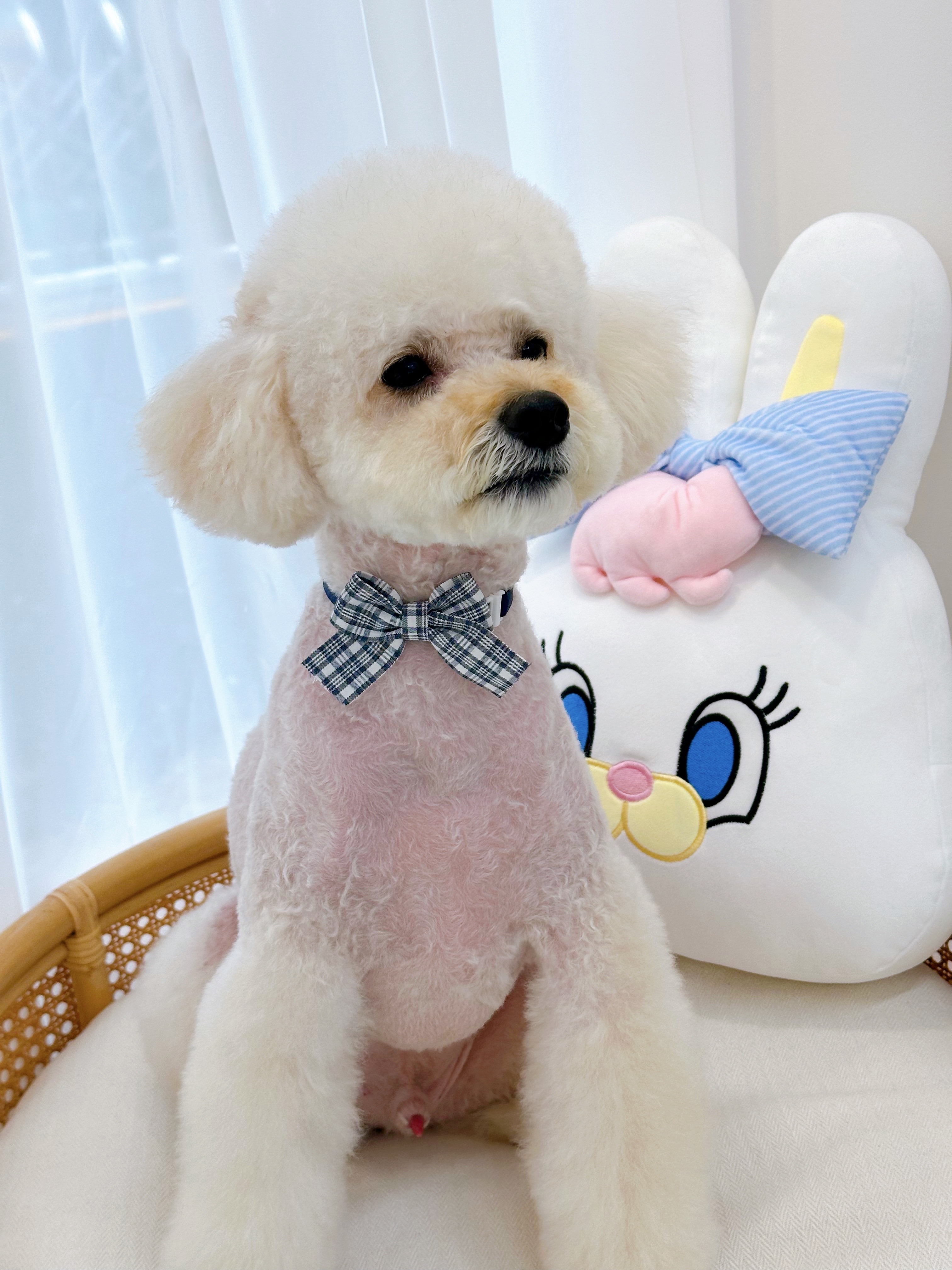 프렌들리 펫살롱 대표 이미지