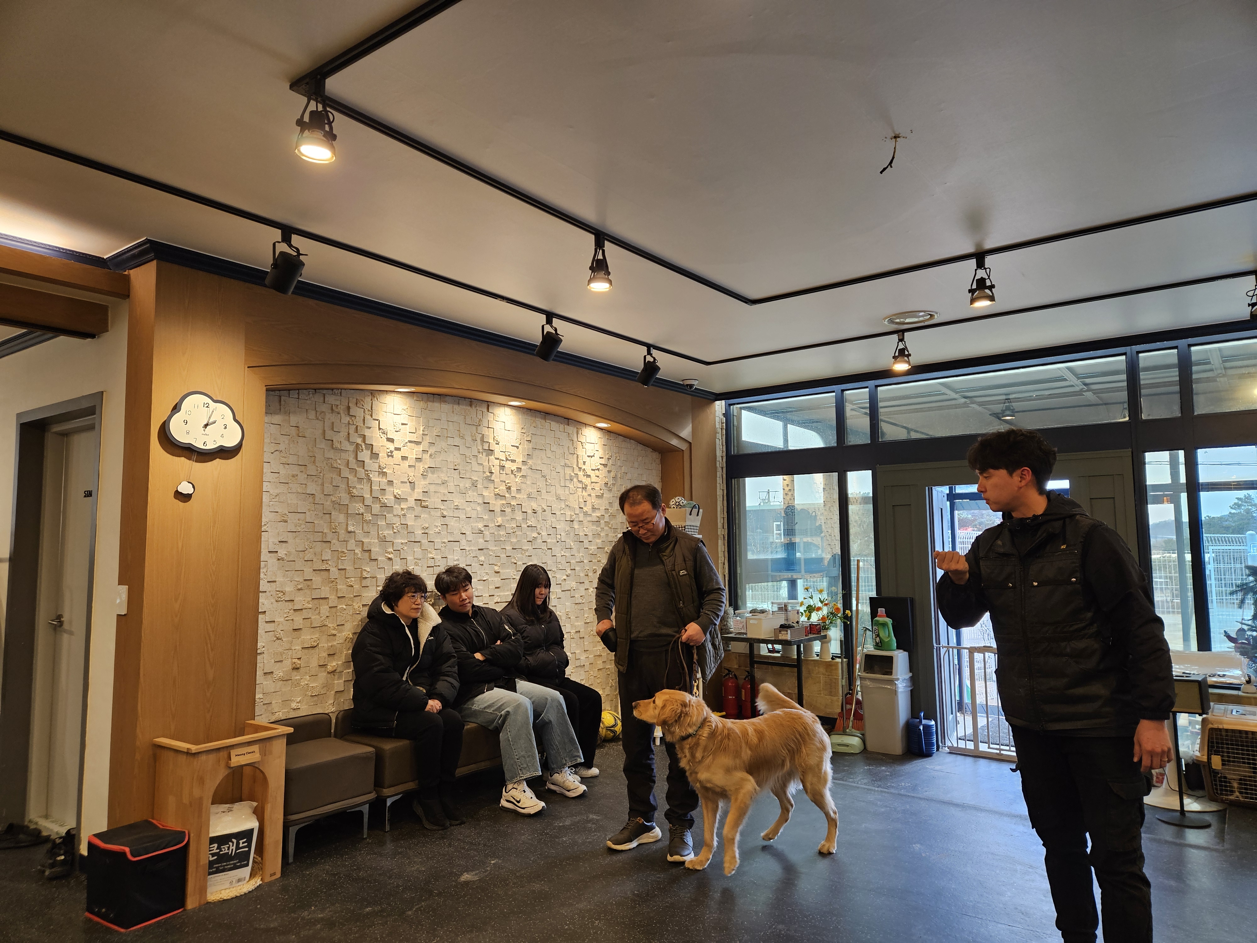 드림애견학교 대표 이미지