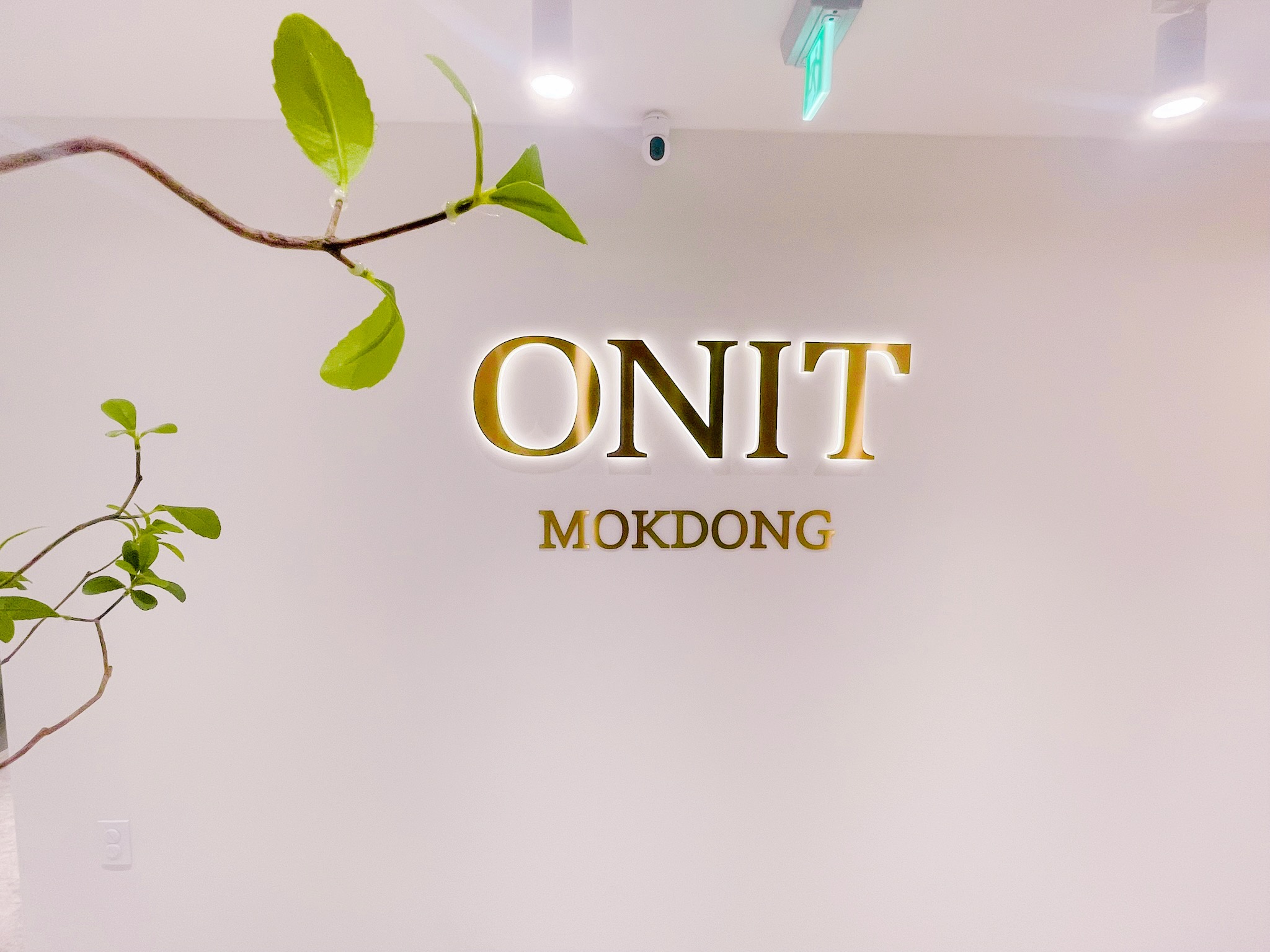 업체사진