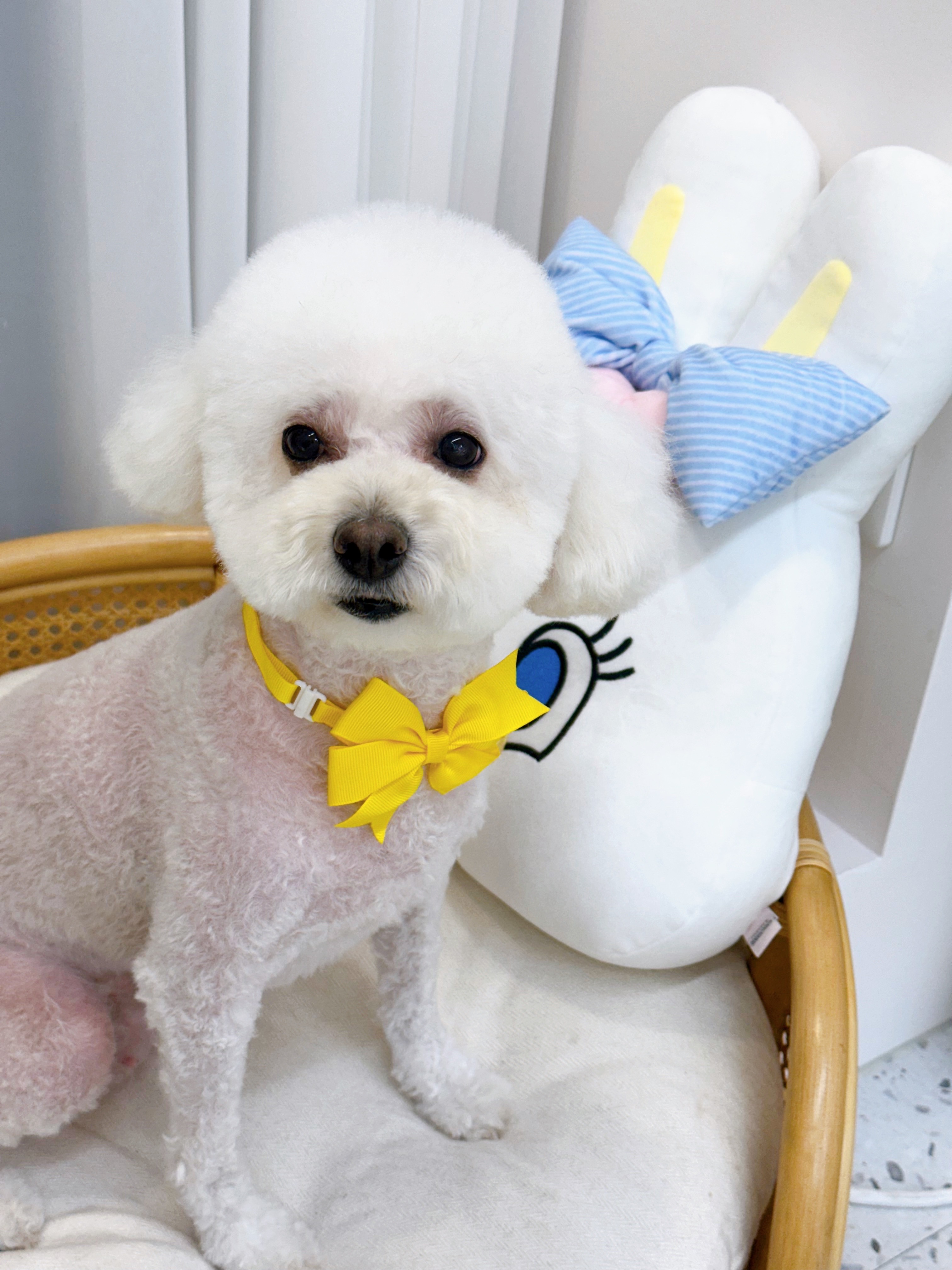 프렌들리 펫살롱 대표 이미지