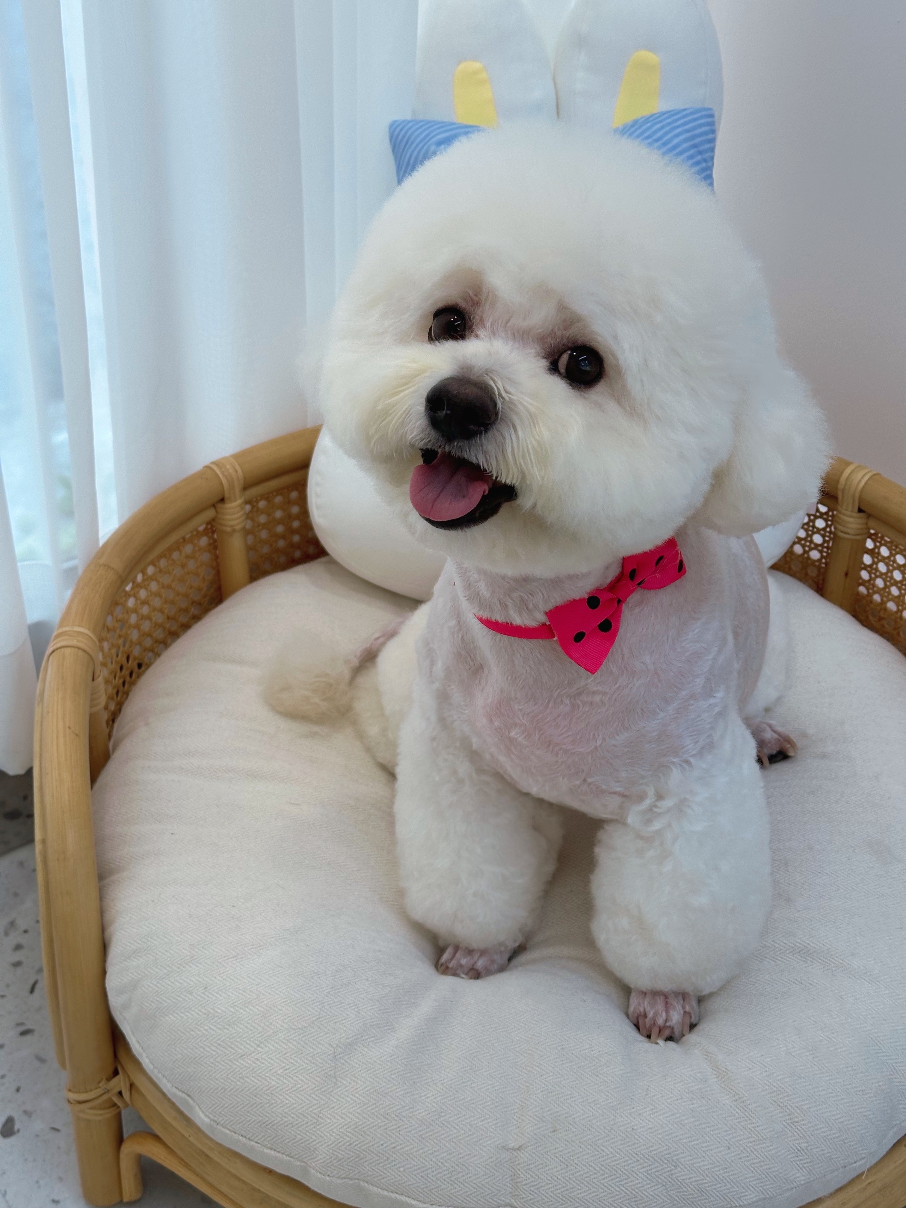 프렌들리 펫살롱 대표 이미지