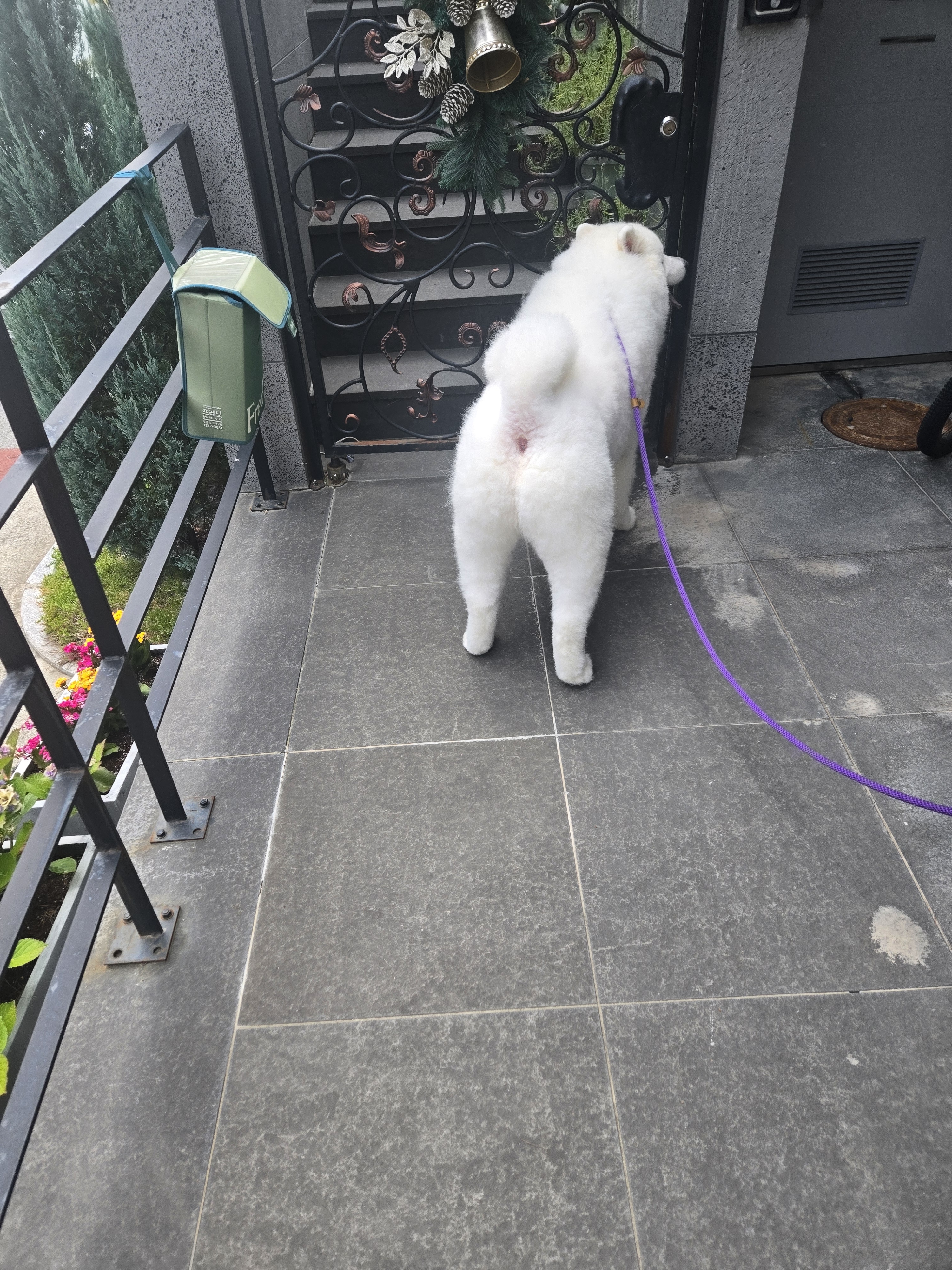 사랑할개 대표 이미지