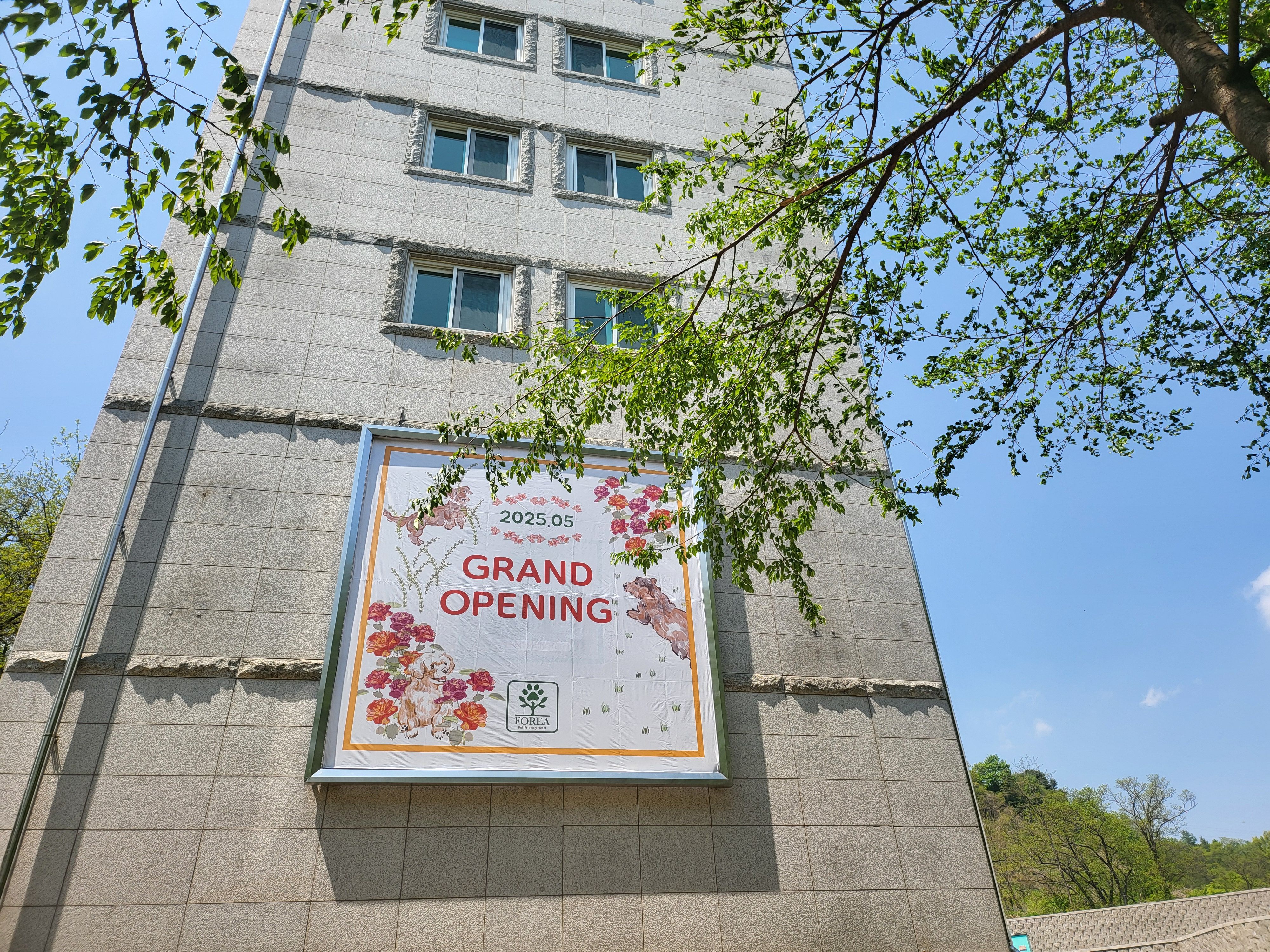 포레아 대표 이미지