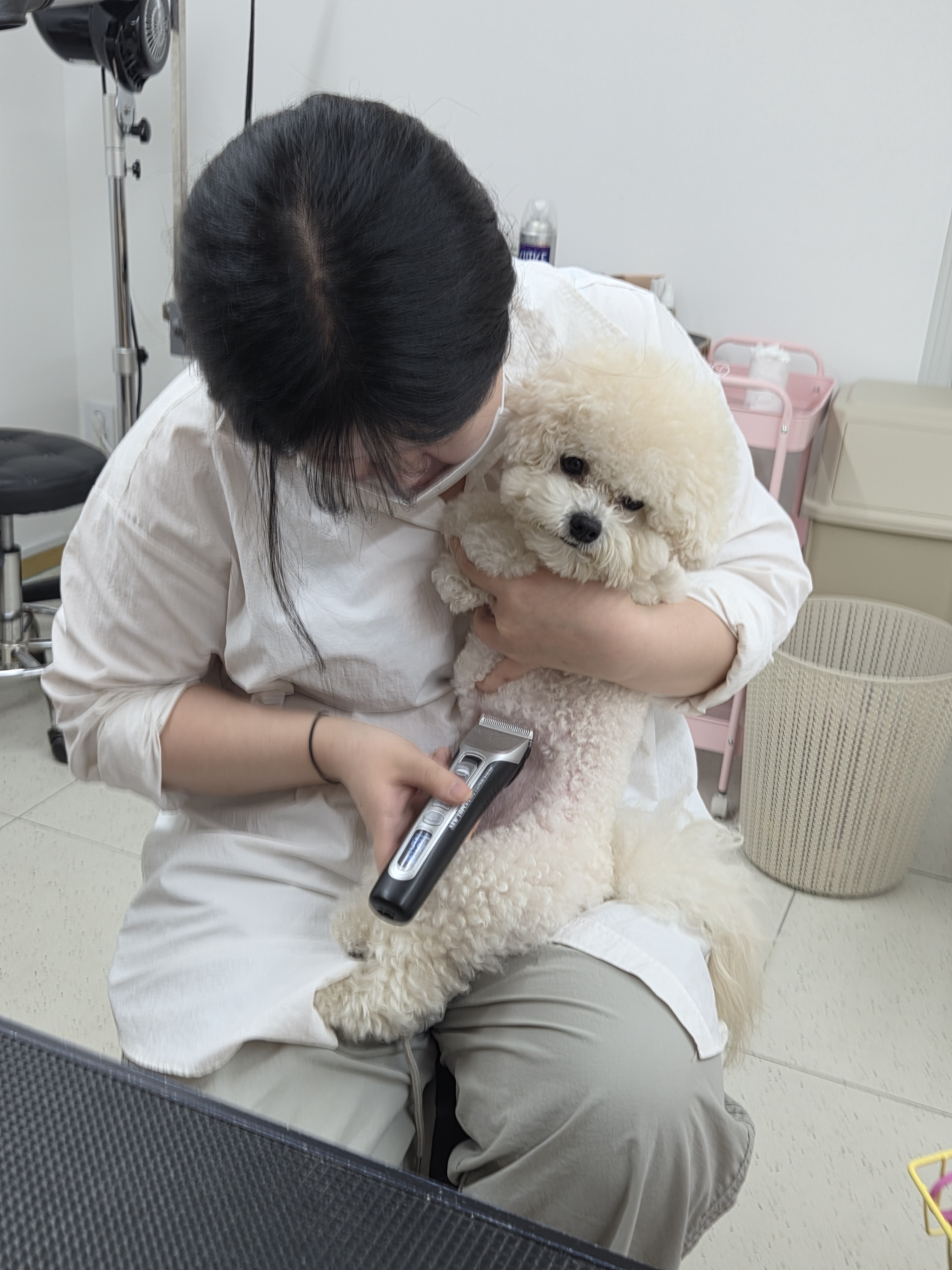 댕댕즈 대표 이미지