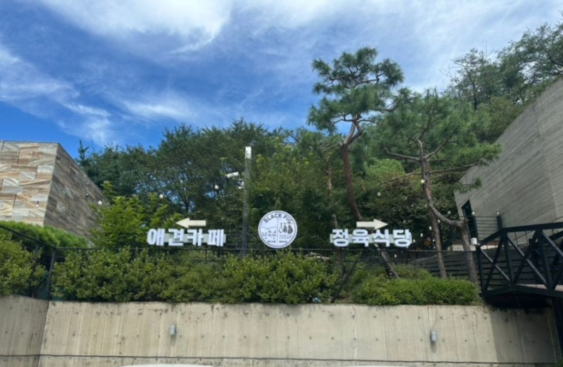 블랙피그 시흥 애견카페 대표 이미지