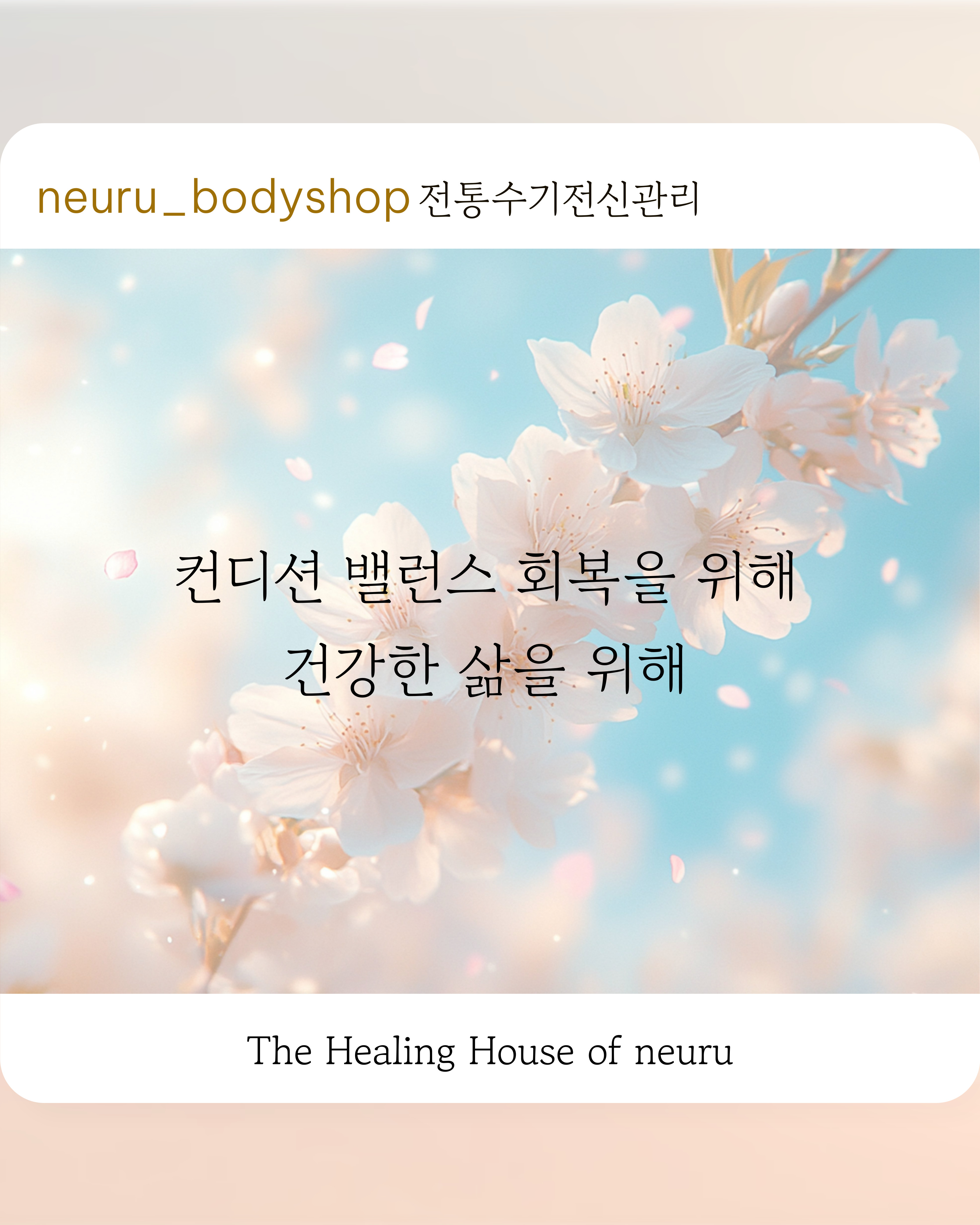 느루 photo 8